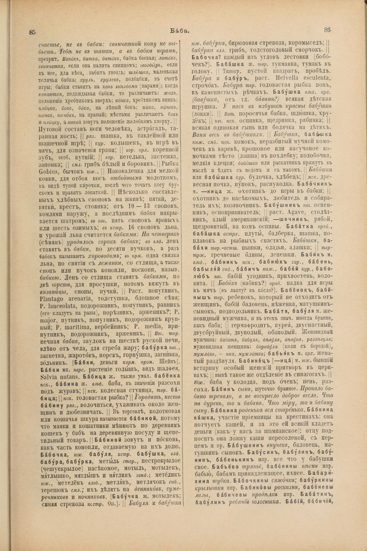 Скан печатной страницы 85 первого тома толкового словаря Даля 1903 года с изображением текста