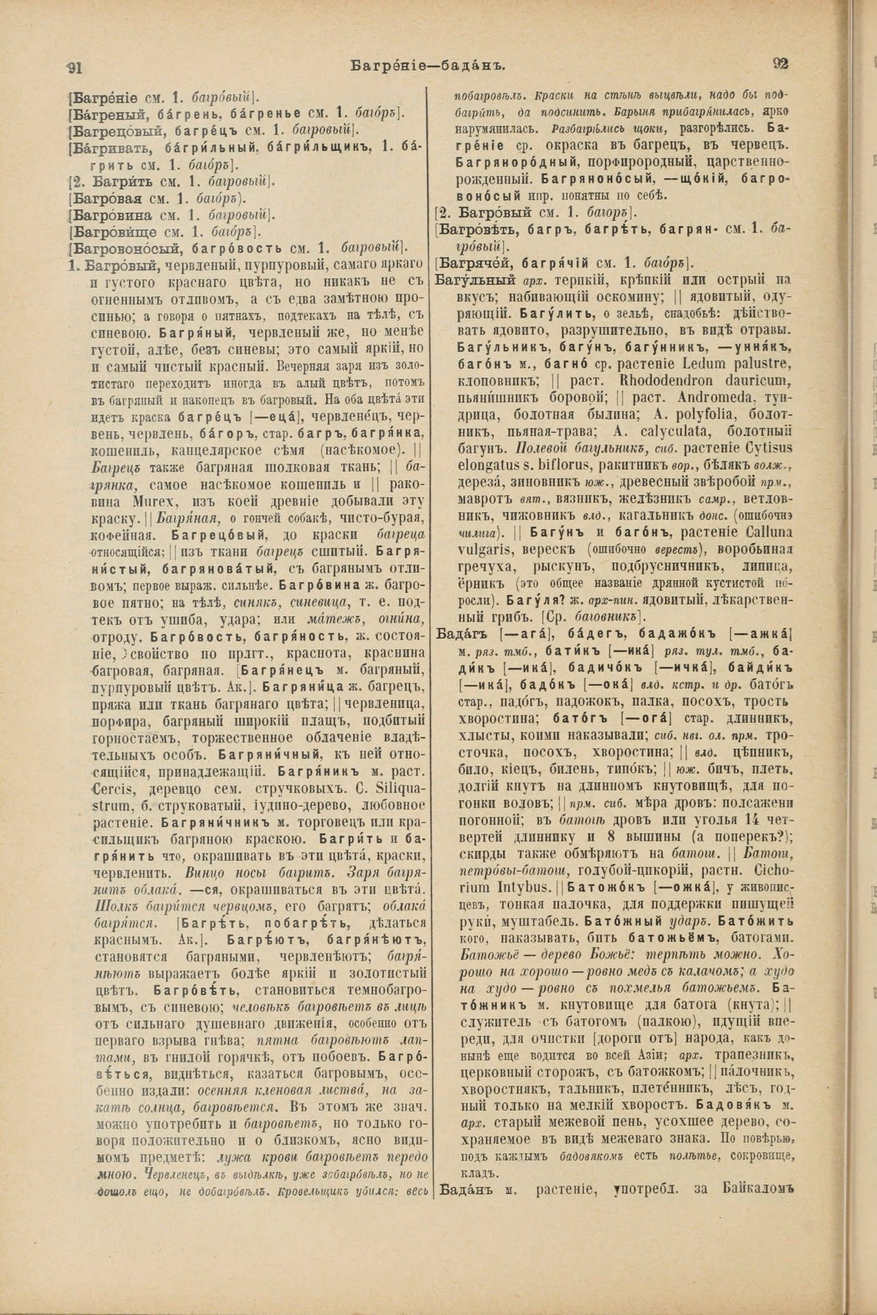 Скан печатной страницы 88 первого тома толкового словаря Даля 1903 года с изображением текста