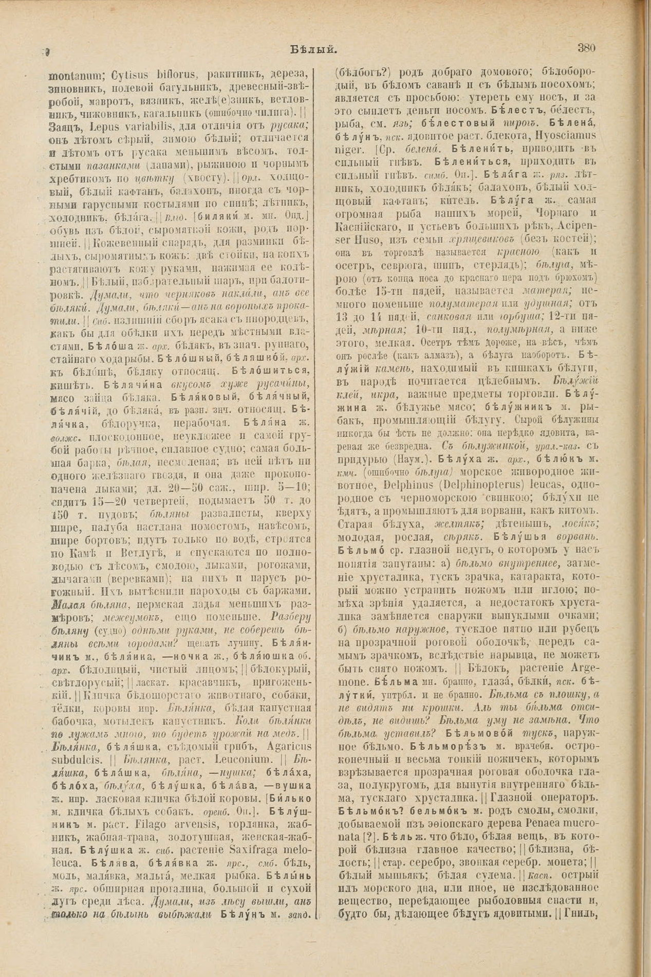 Скан печатной страницы 234 первого тома толкового словаря Даля 1903 года с изображением текста