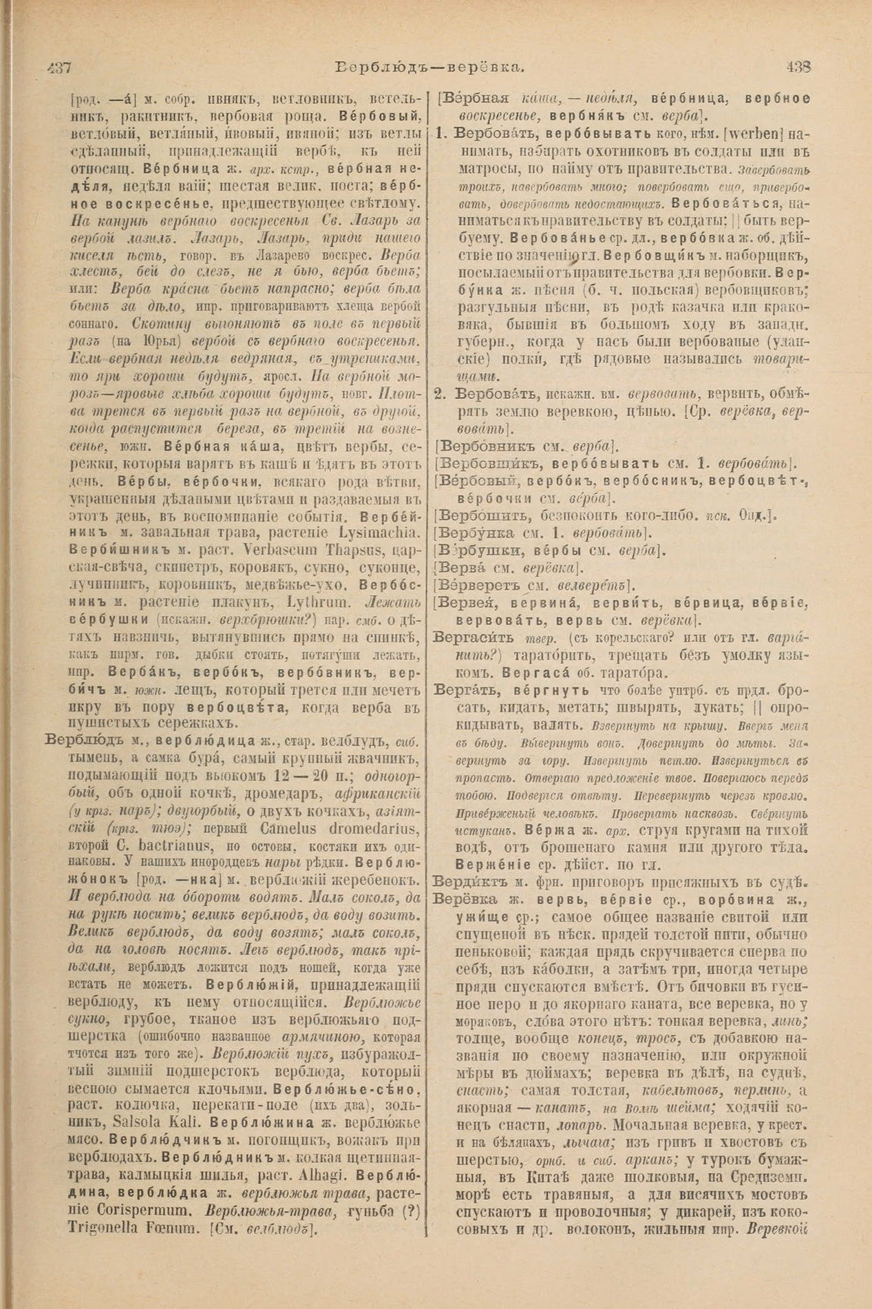 Скан печатной страницы 263 первого тома толкового словаря Даля 1903 года с изображением текста