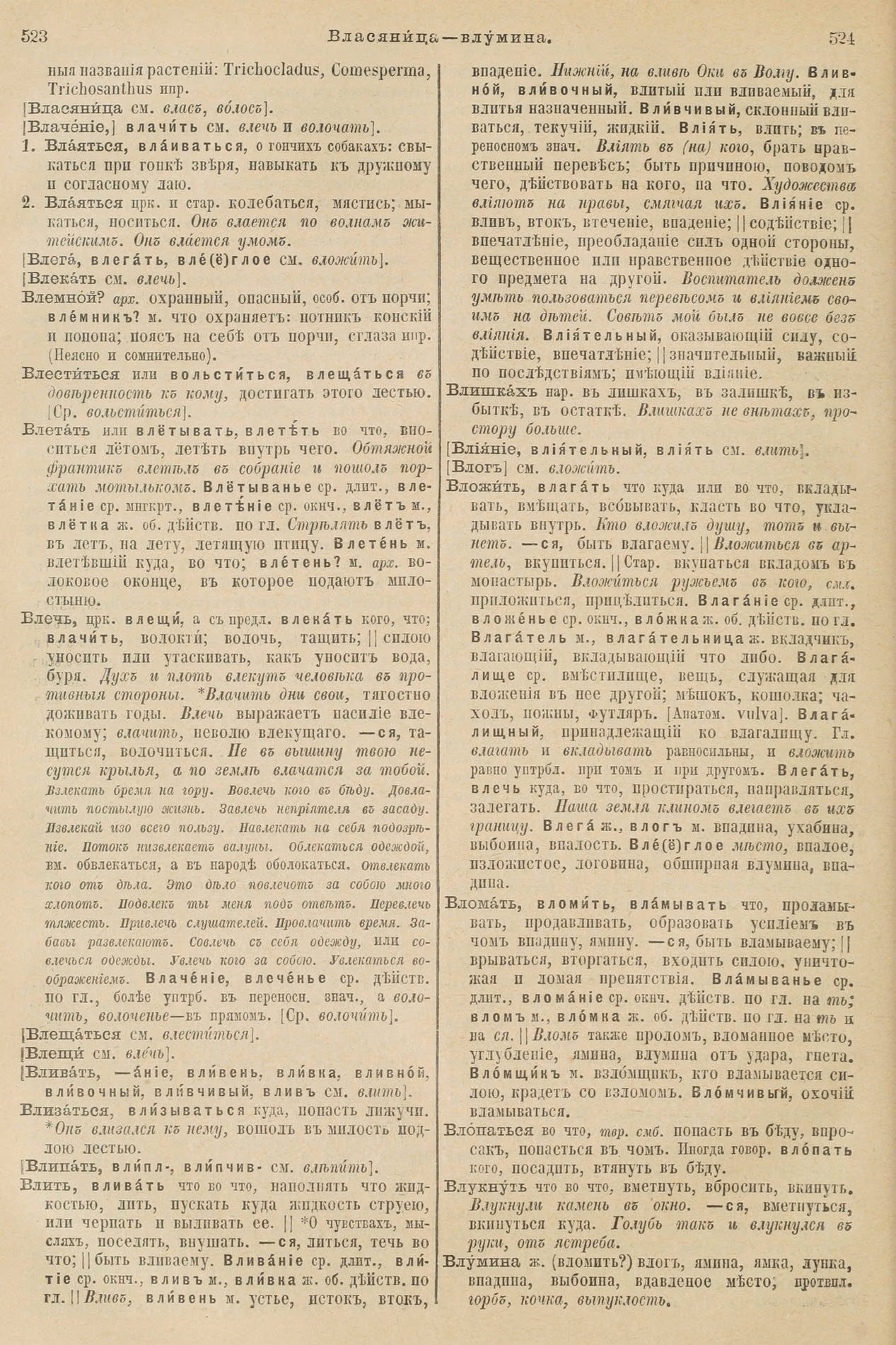 Скан печатной страницы 306 первого тома толкового словаря Даля 1903 года с изображением текста