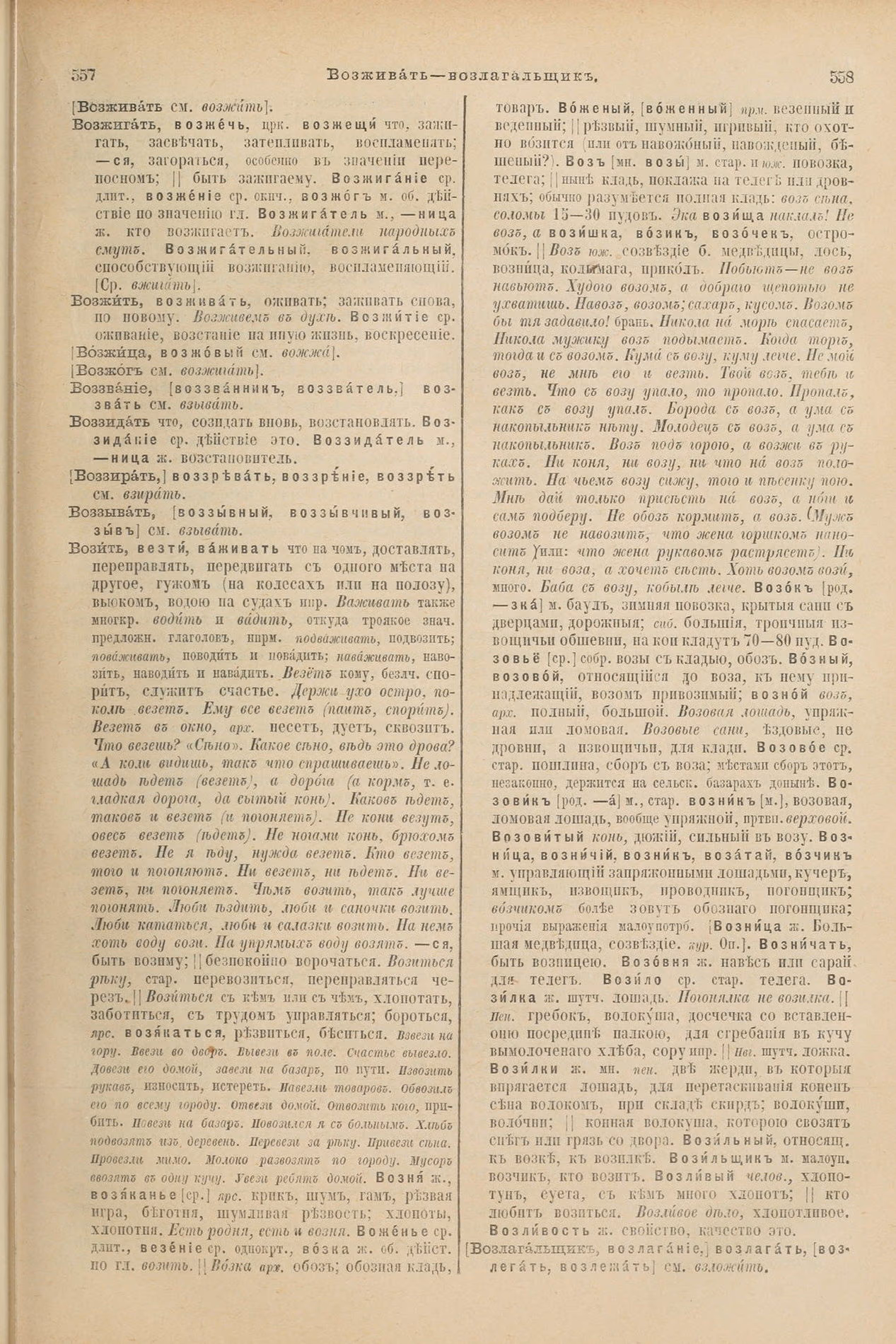 Скан печатной страницы 323 первого тома толкового словаря Даля 1903 года с изображением текста