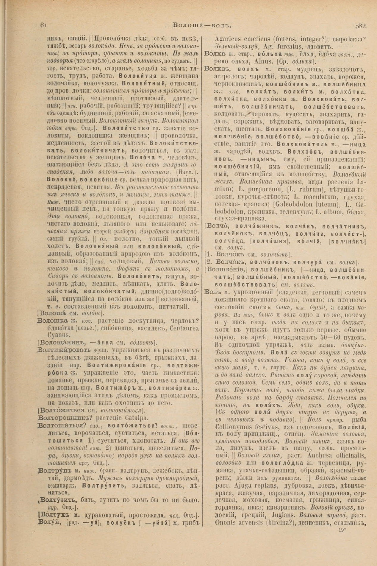 Скан печатной страницы 335 первого тома толкового словаря Даля 1903 года с изображением текста