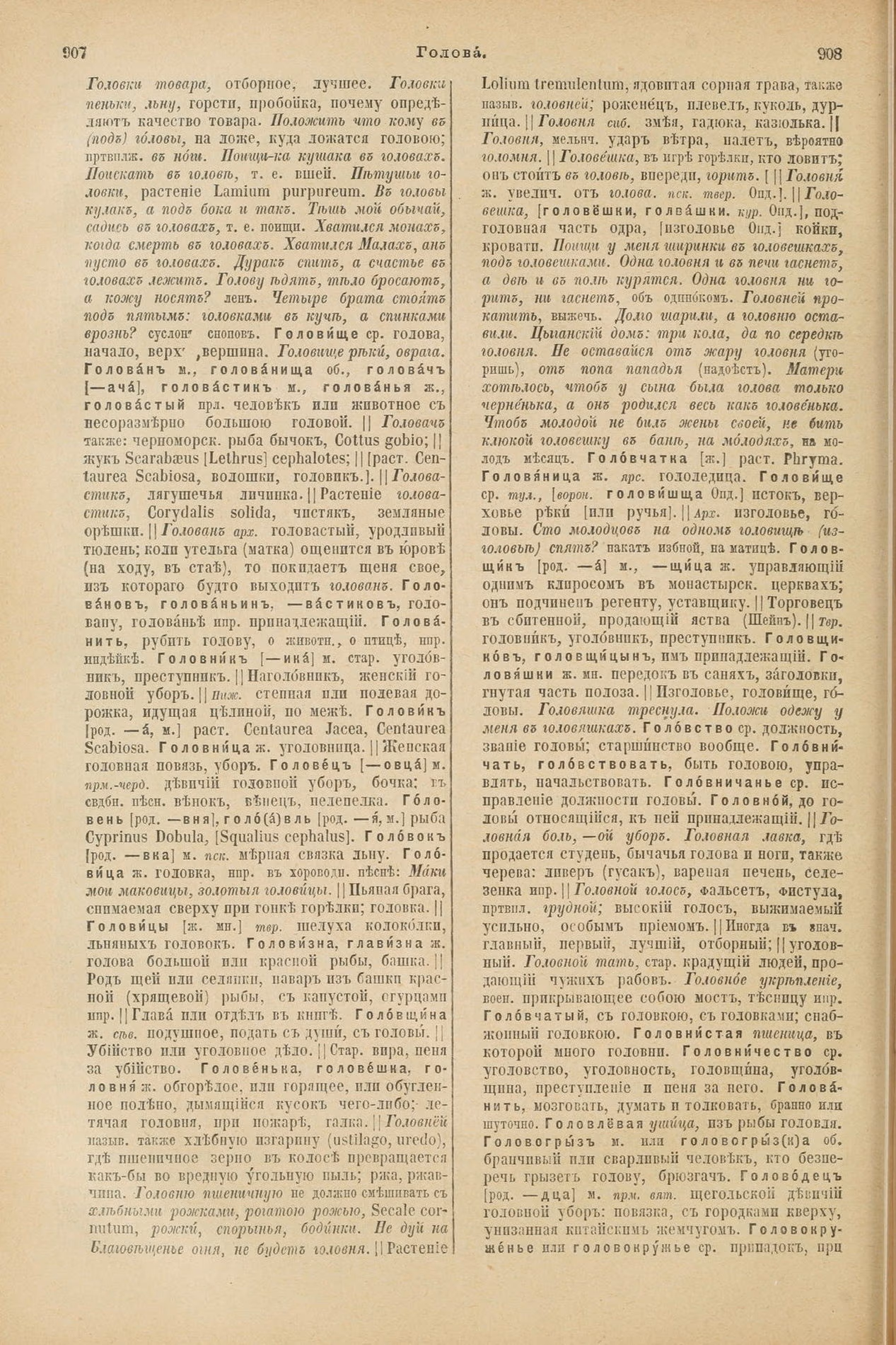 Скан печатной страницы 500 первого тома толкового словаря Даля 1903 года с изображением текста