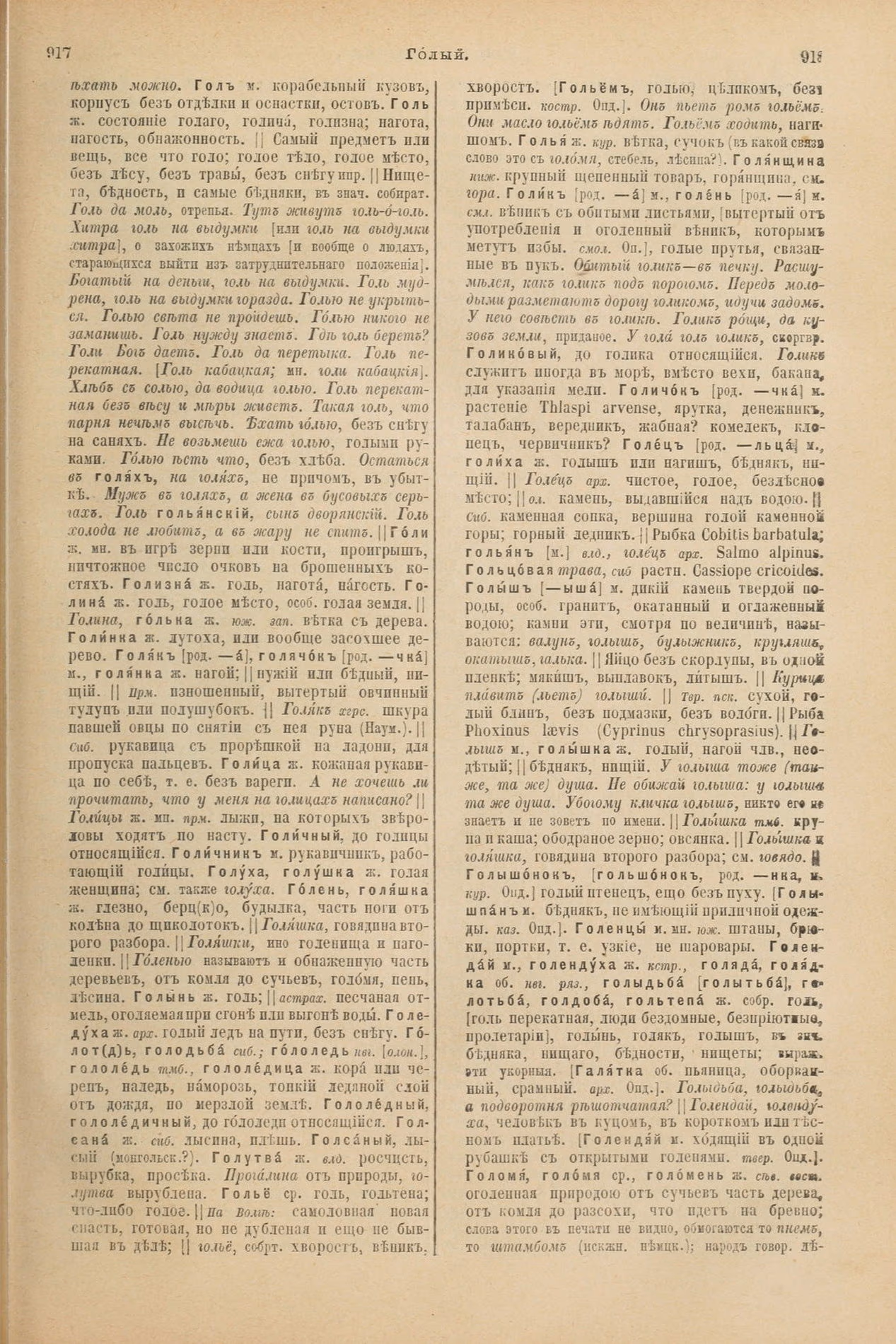 Скан печатной страницы 505 первого тома толкового словаря Даля 1903 года с изображением текста
