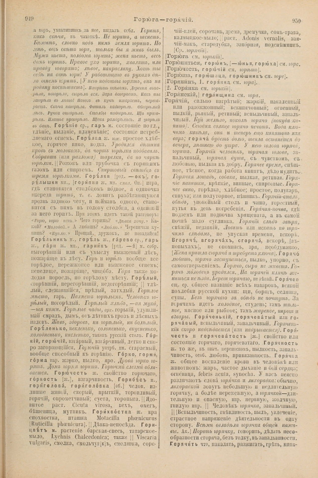 Скан печатной страницы 521 первого тома толкового словаря Даля 1903 года с изображением текста