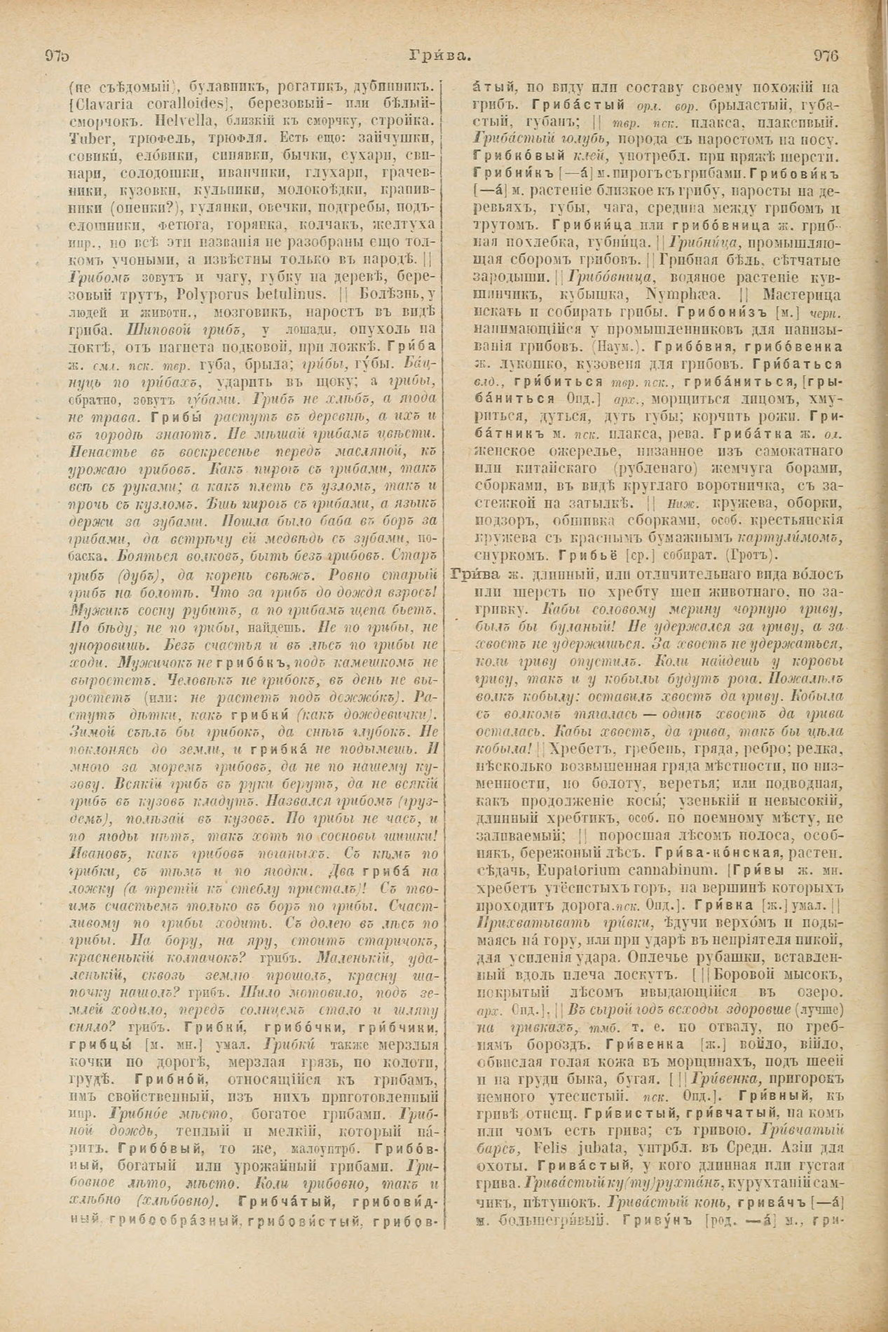 Скан печатной страницы 534 первого тома толкового словаря Даля 1903 года с изображением текста