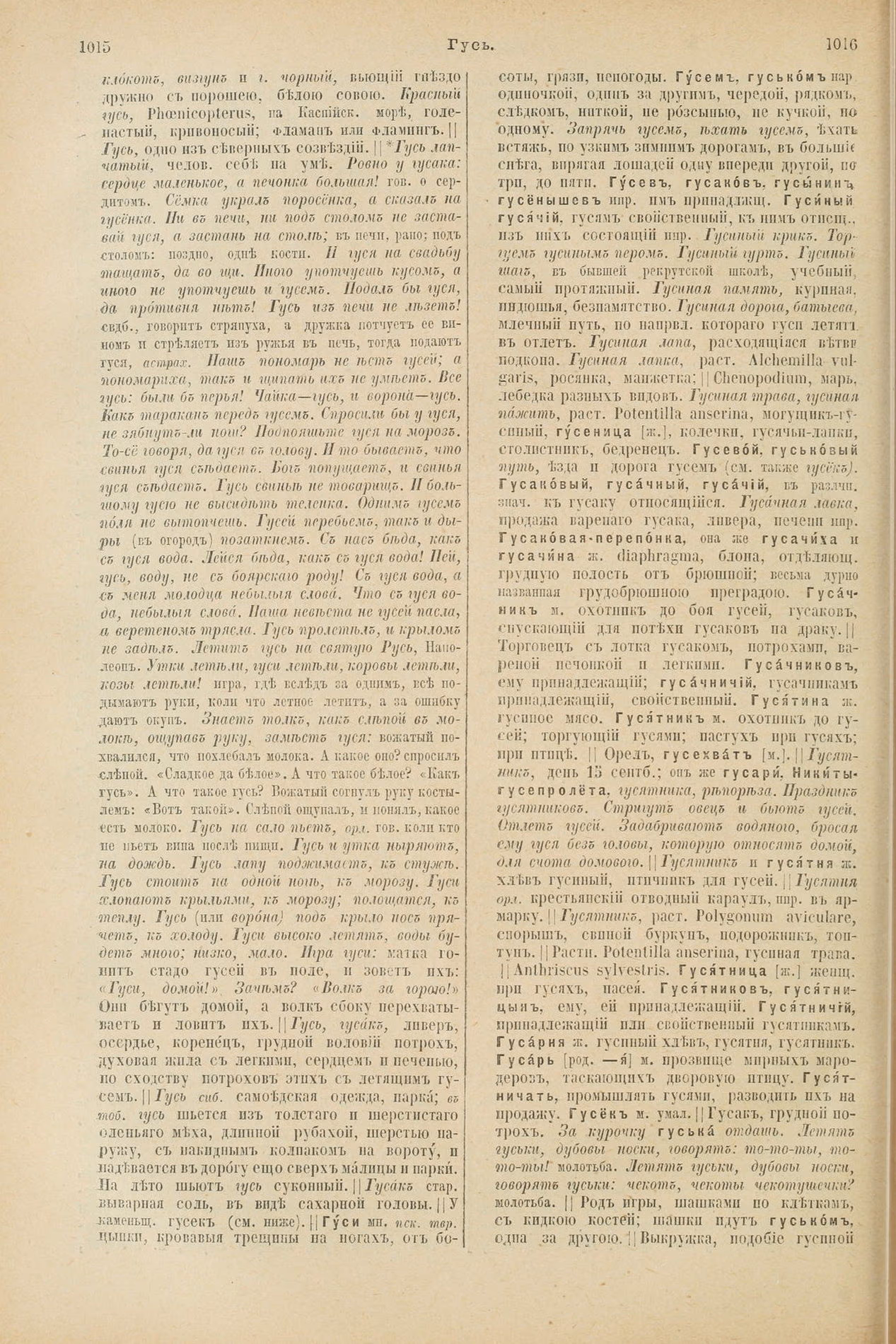 Скан печатной страницы 556 первого тома толкового словаря Даля 1903 года с изображением текста