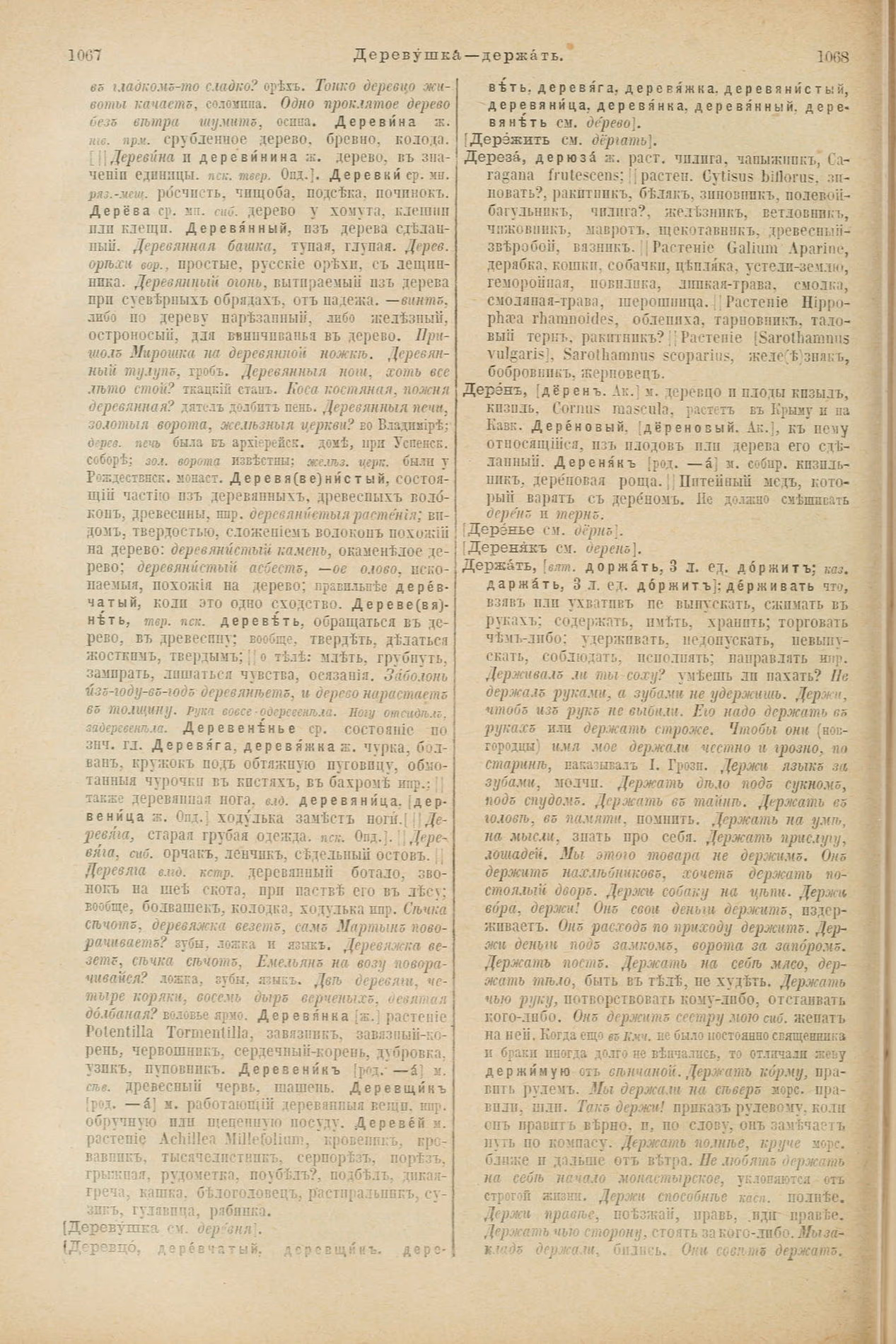 Скан печатной страницы 582 первого тома толкового словаря Даля 1903 года с изображением текста