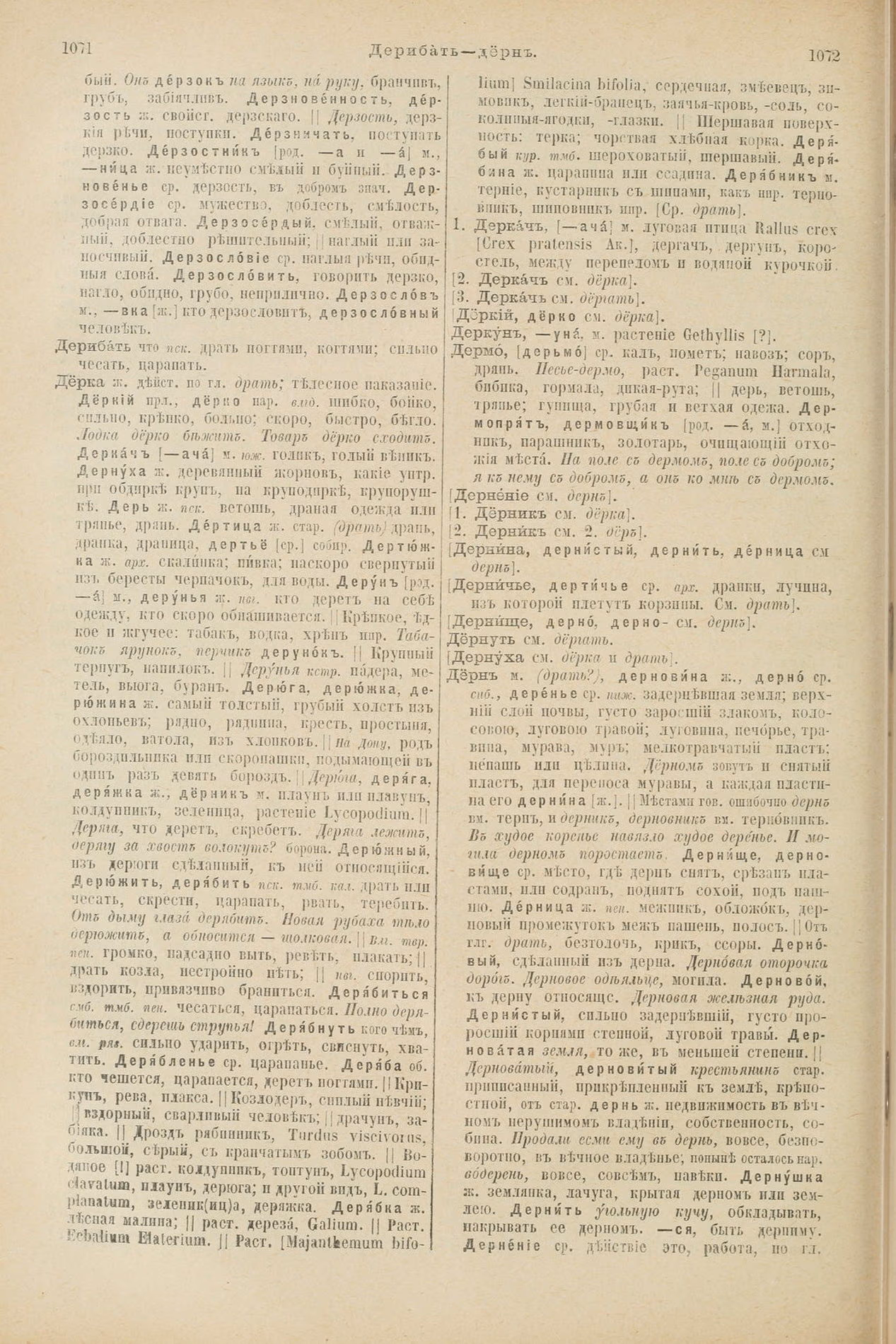 Скан печатной страницы 584 первого тома толкового словаря Даля 1903 года с изображением текста