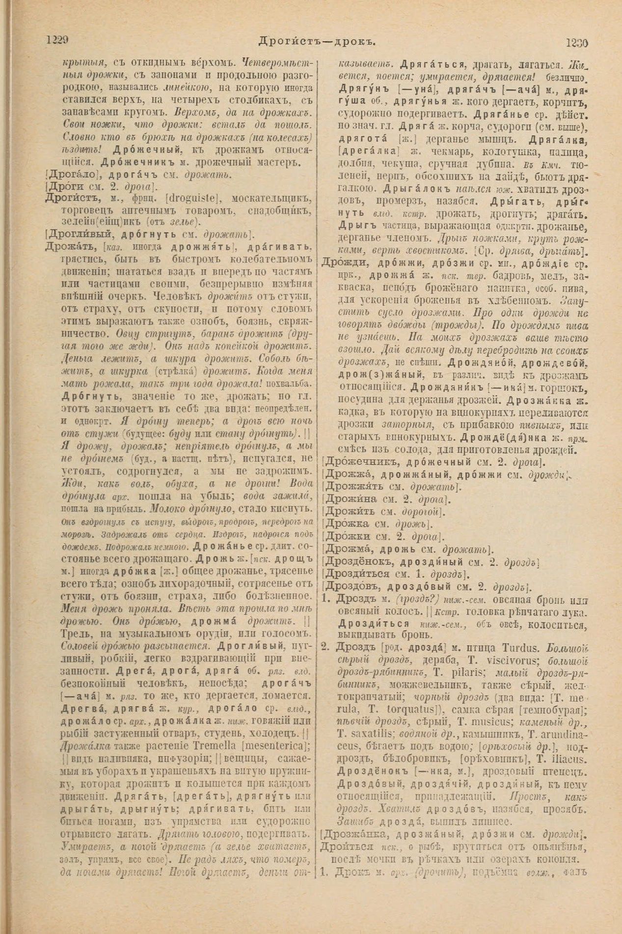 Скан печатной страницы 663 первого тома толкового словаря Даля 1903 года с изображением текста