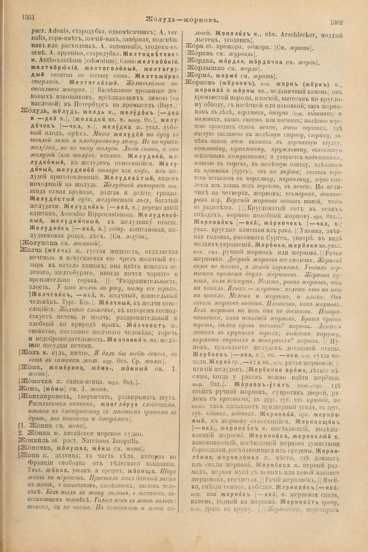 Скан печатной страницы 729 первого тома толкового словаря Даля 1903 года с изображением текста