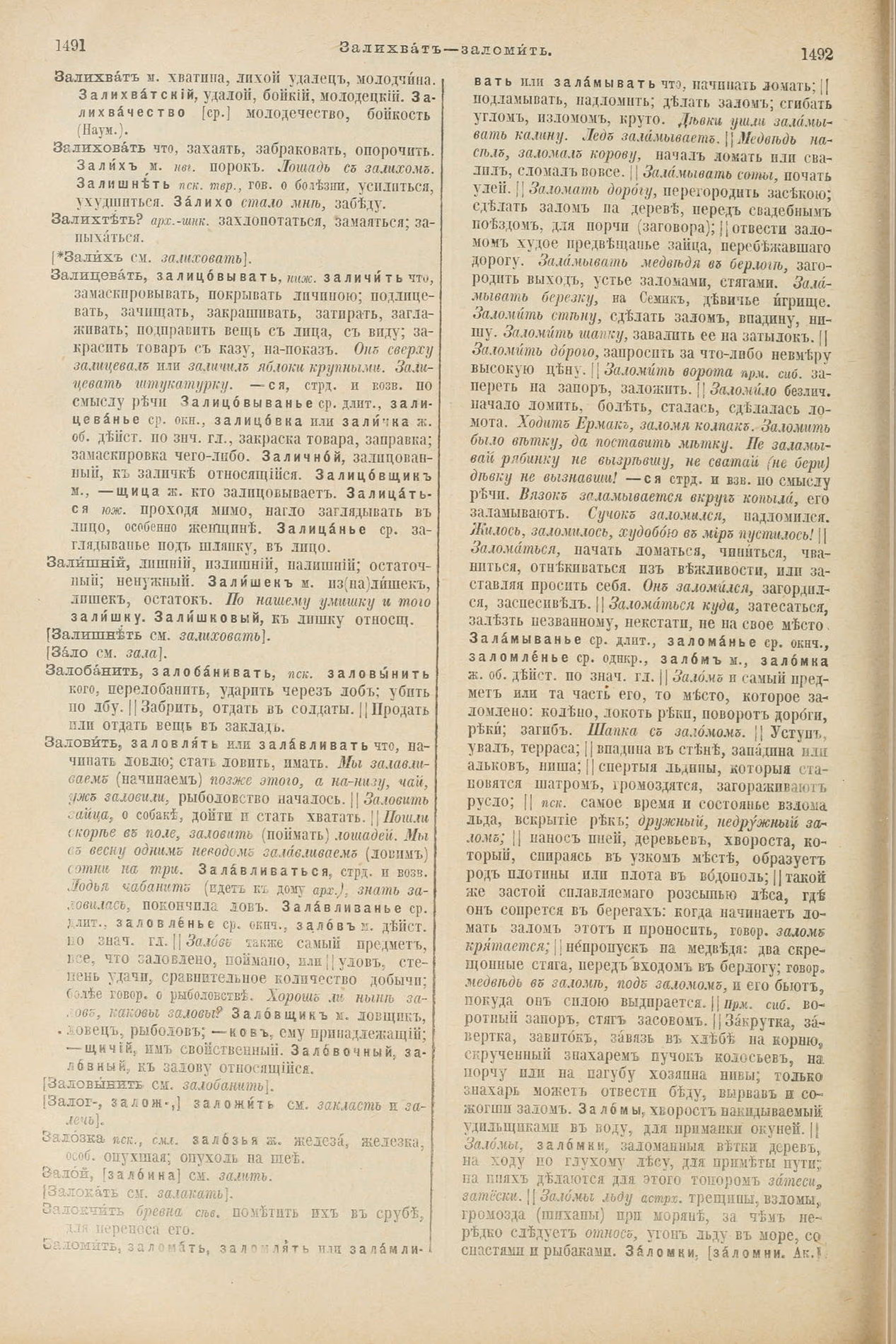 Скан печатной страницы 796 первого тома толкового словаря Даля 1903 года с изображением текста