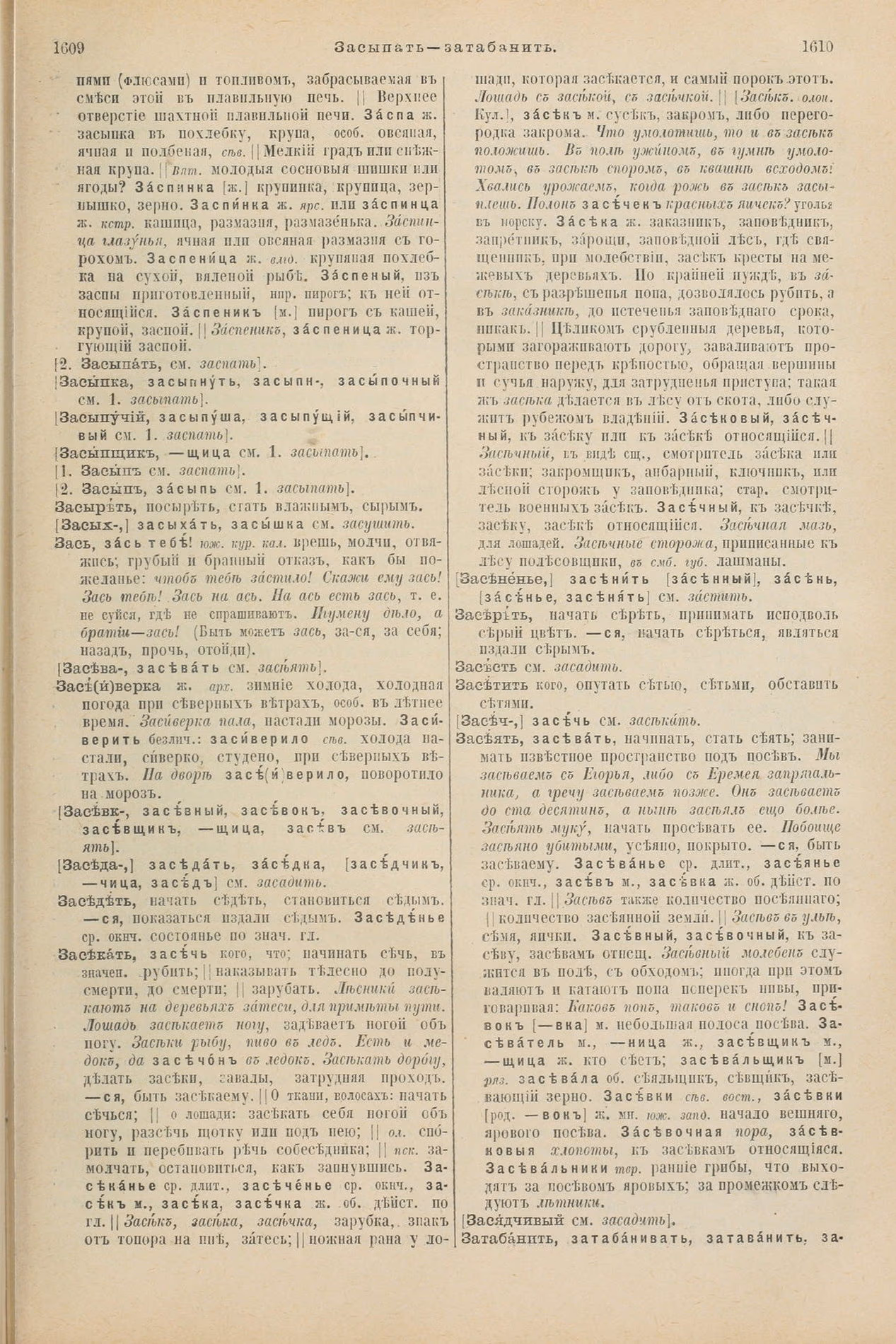 Скан печатной страницы 855 первого тома толкового словаря Даля 1903 года с изображением текста
