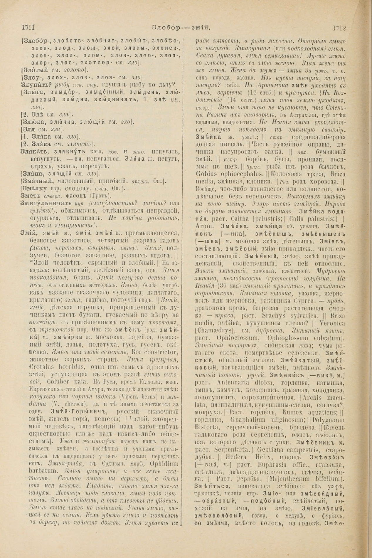 Скан печатной страницы 906 первого тома толкового словаря Даля 1903 года с изображением текста