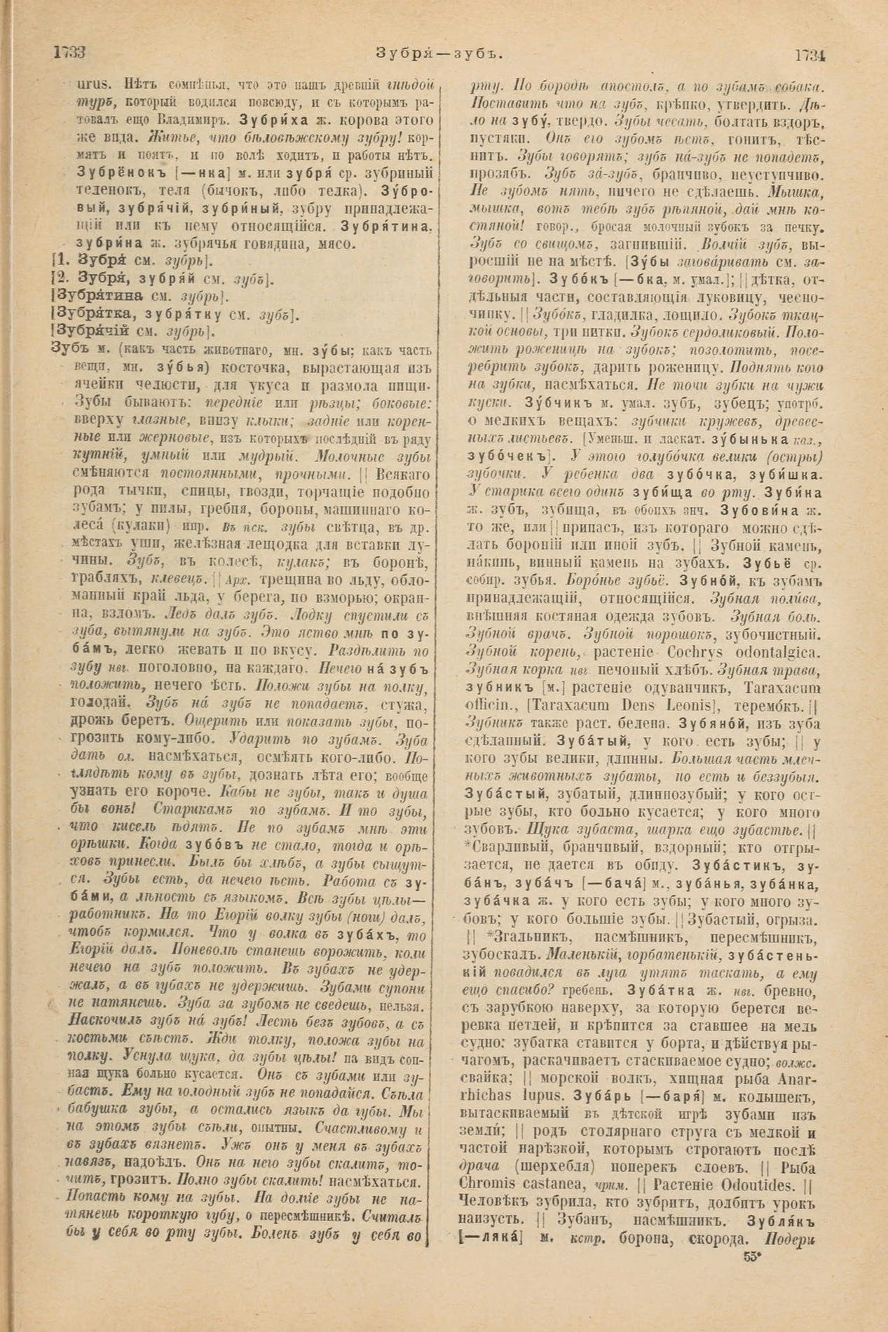 Скан печатной страницы 917 первого тома толкового словаря Даля 1903 года с изображением текста