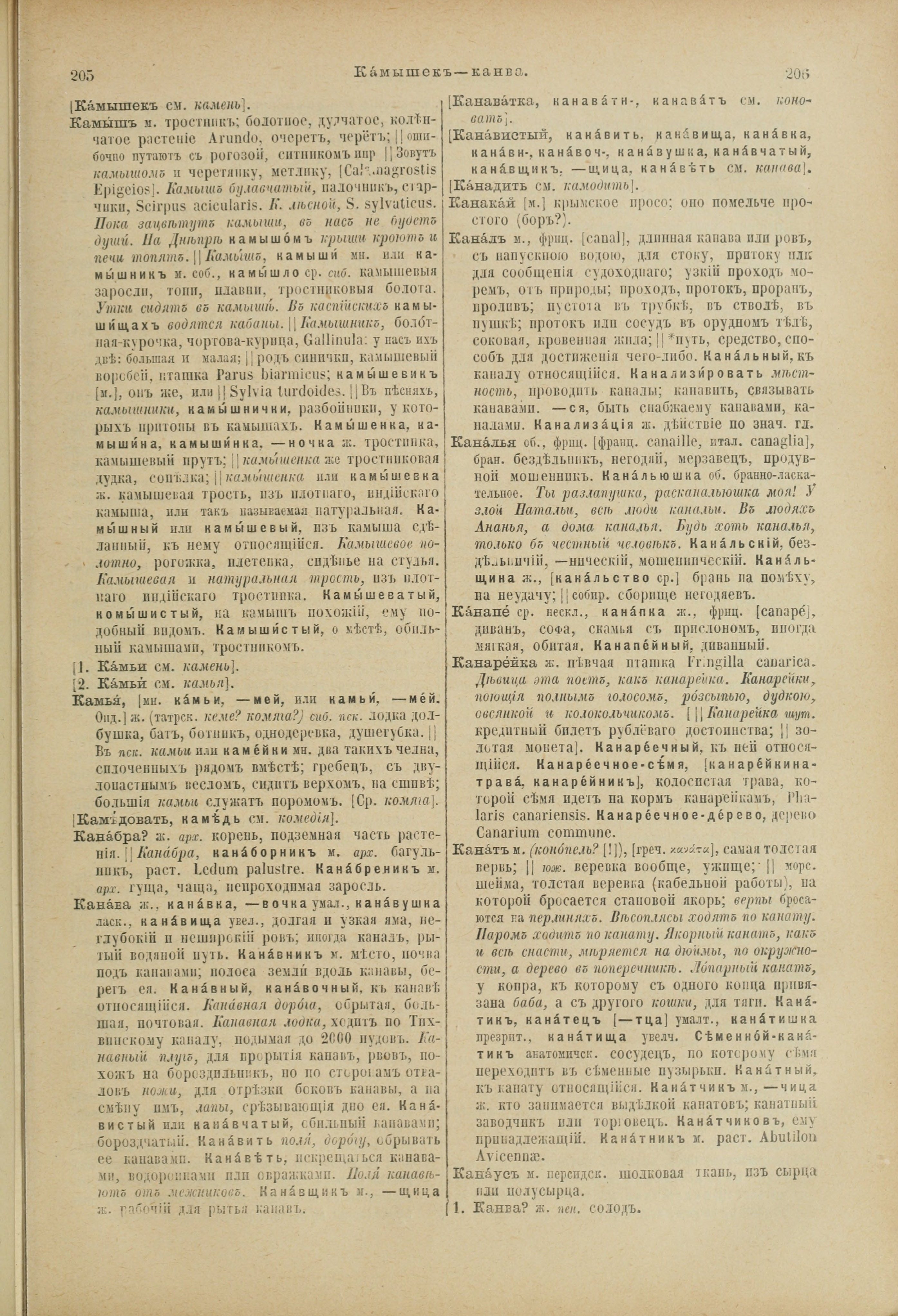 Словарь Даля под редакцией Бодуэна-де-Куртенэ, том 2 pdf скан страницы 107