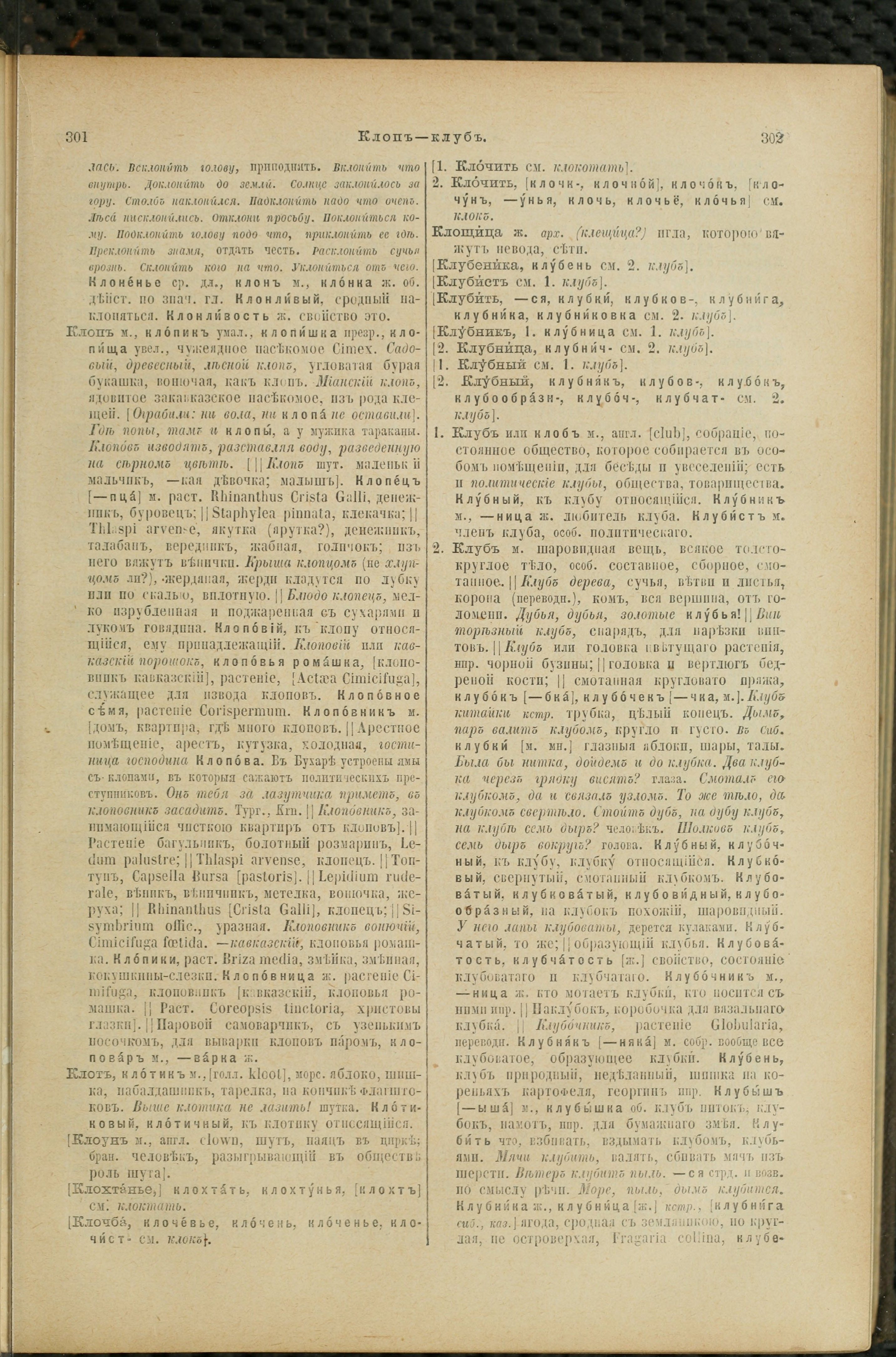 Словарь Даля под редакцией Бодуэна-де-Куртенэ, том 2 pdf скан страницы 155