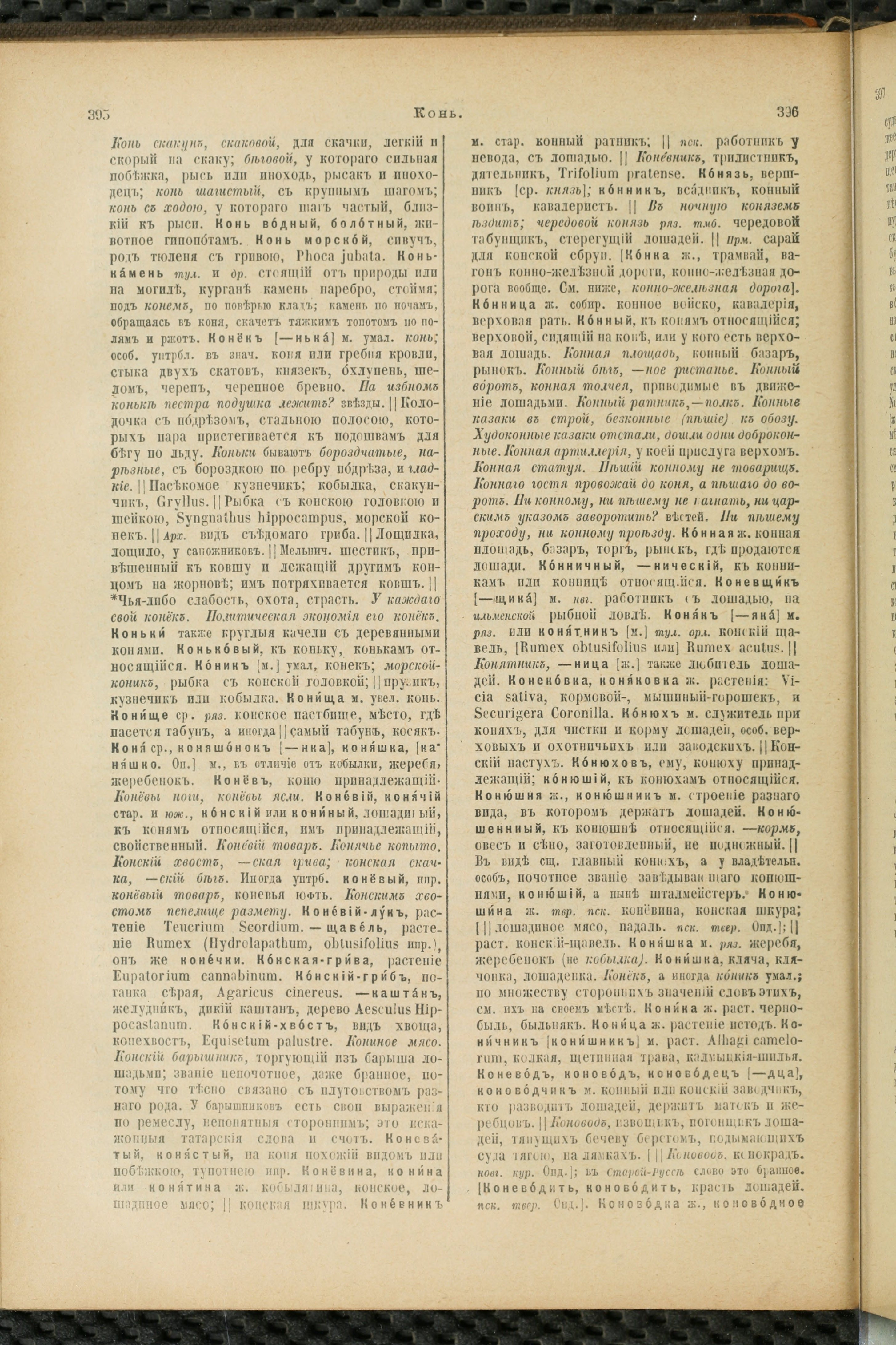 Словарь Даля под редакцией Бодуэна-де-Куртенэ, том 2 pdf скан страницы 202