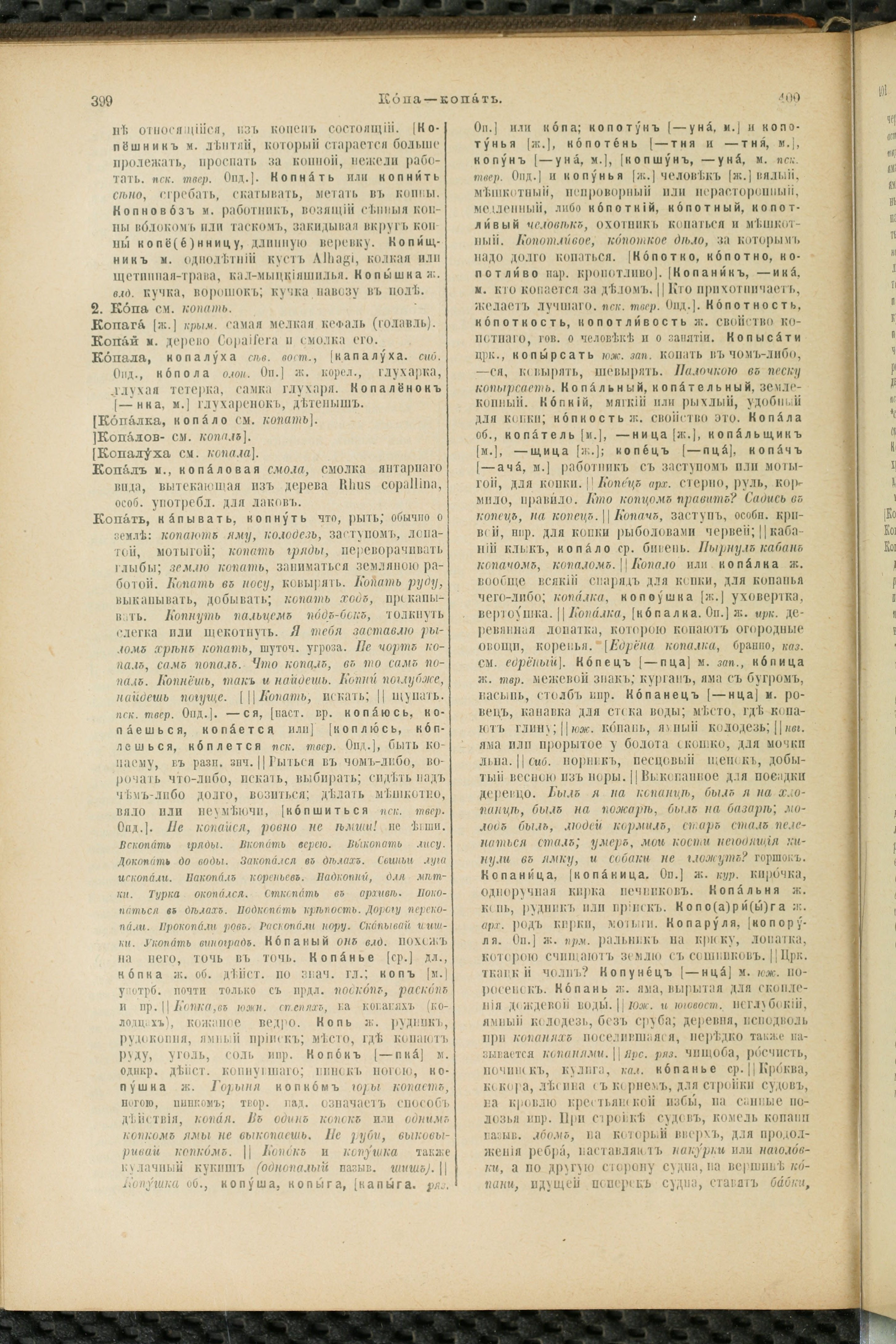 Словарь Даля под редакцией Бодуэна-де-Куртенэ, том 2 pdf скан страницы 204