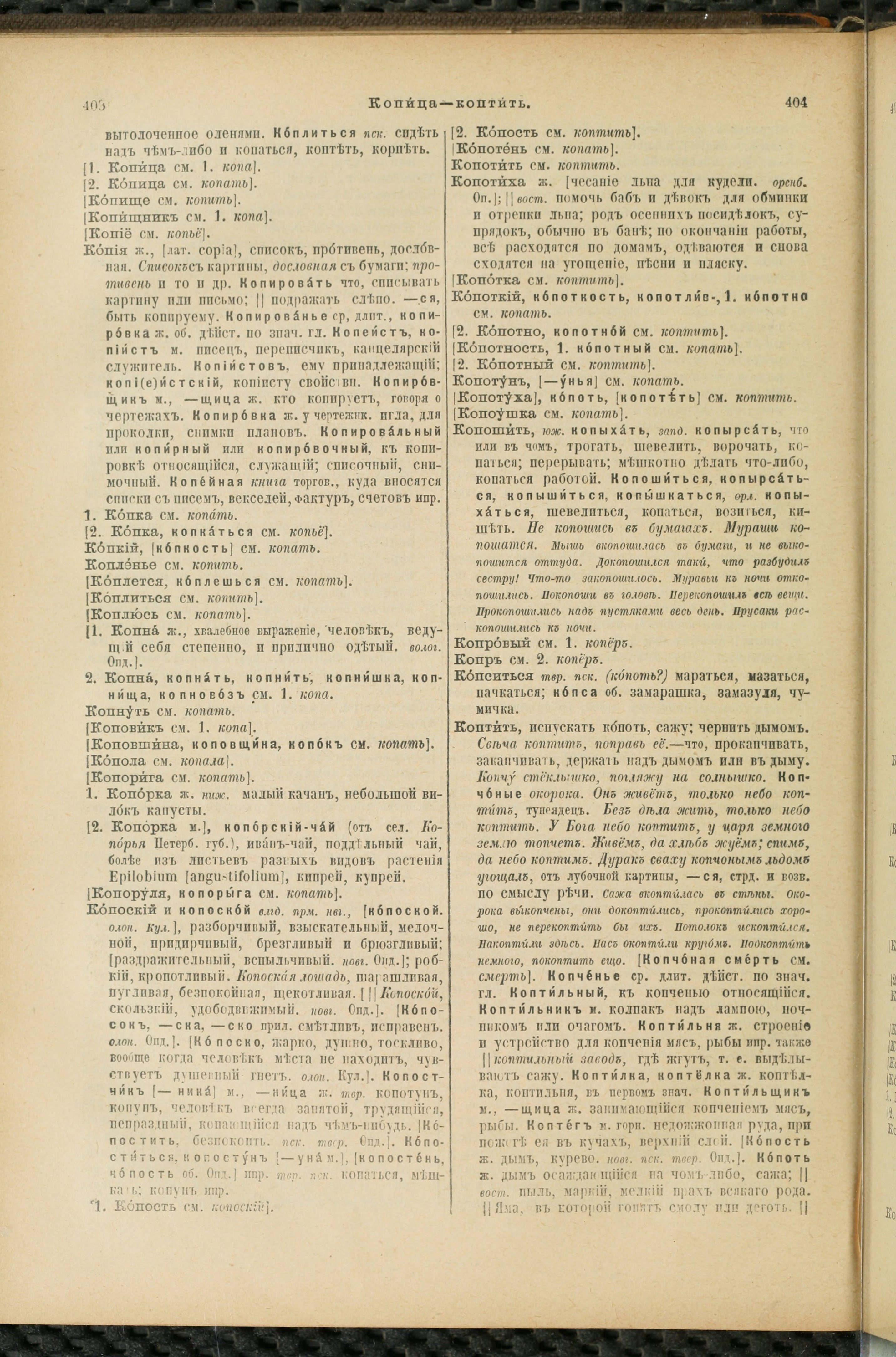 Словарь Даля под редакцией Бодуэна-де-Куртенэ, том 2 pdf скан страницы 206