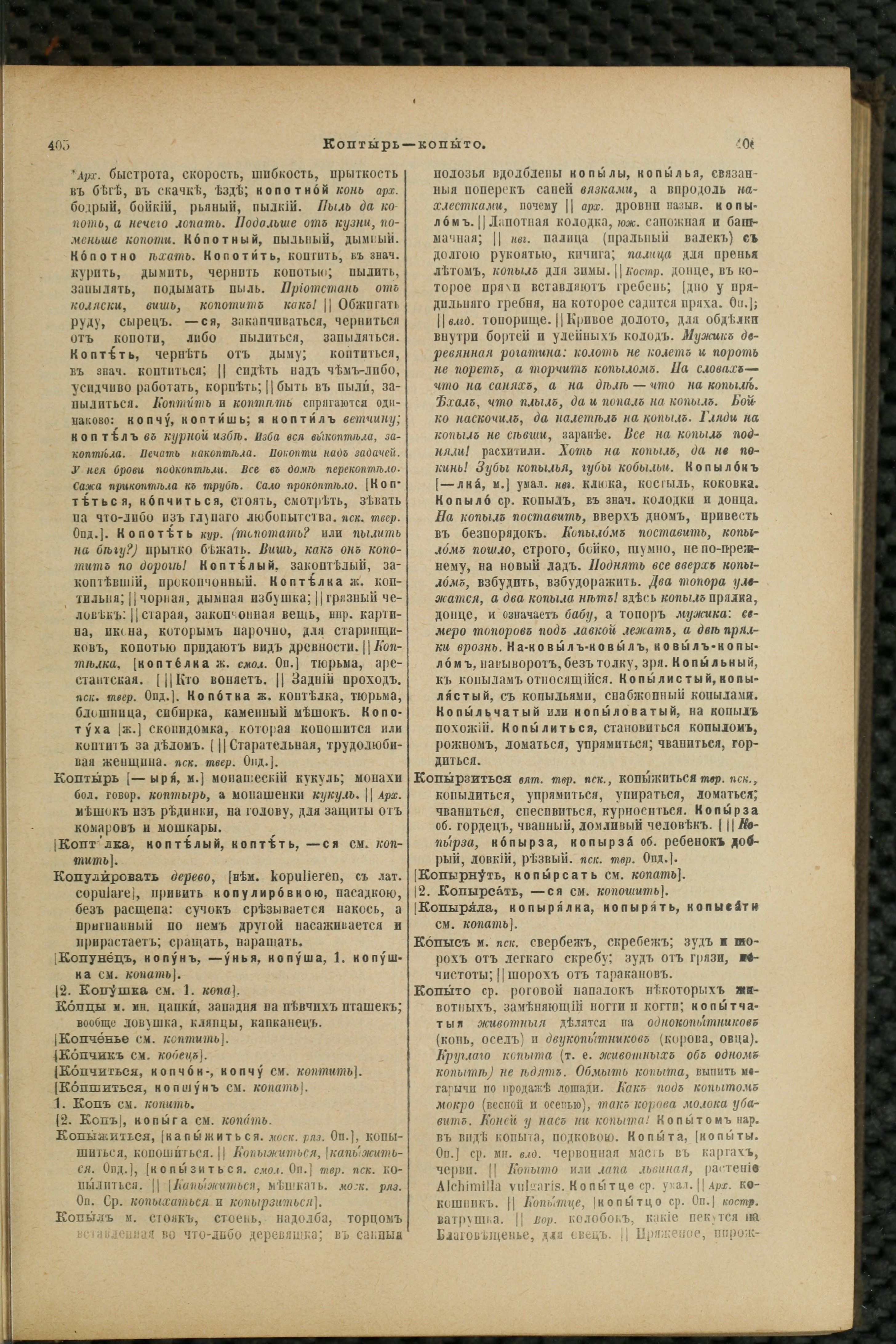 Словарь Даля под редакцией Бодуэна-де-Куртенэ, том 2 pdf скан страницы 207