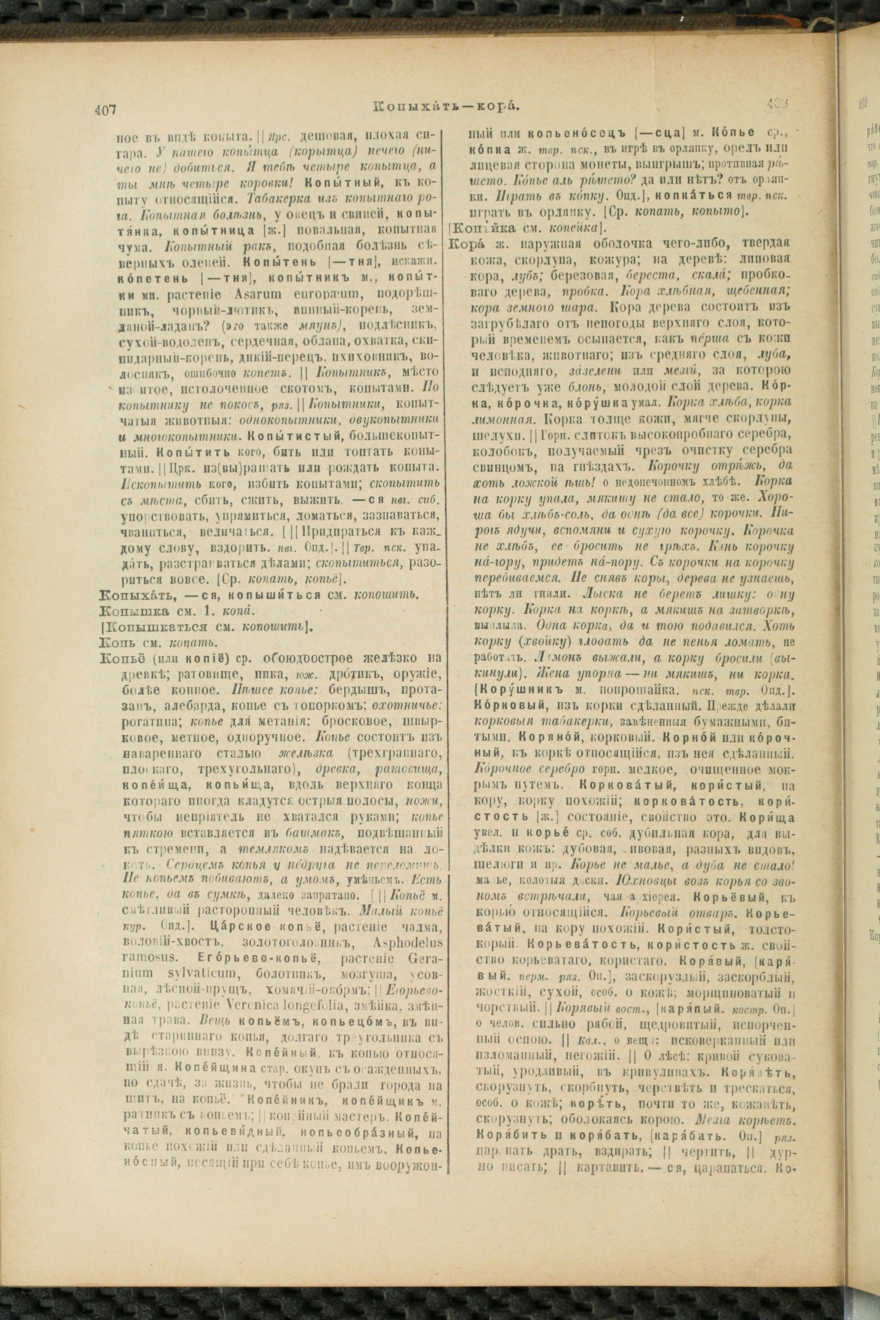 Словарь Даля под редакцией Бодуэна-де-Куртенэ, том 2 pdf скан страницы 208