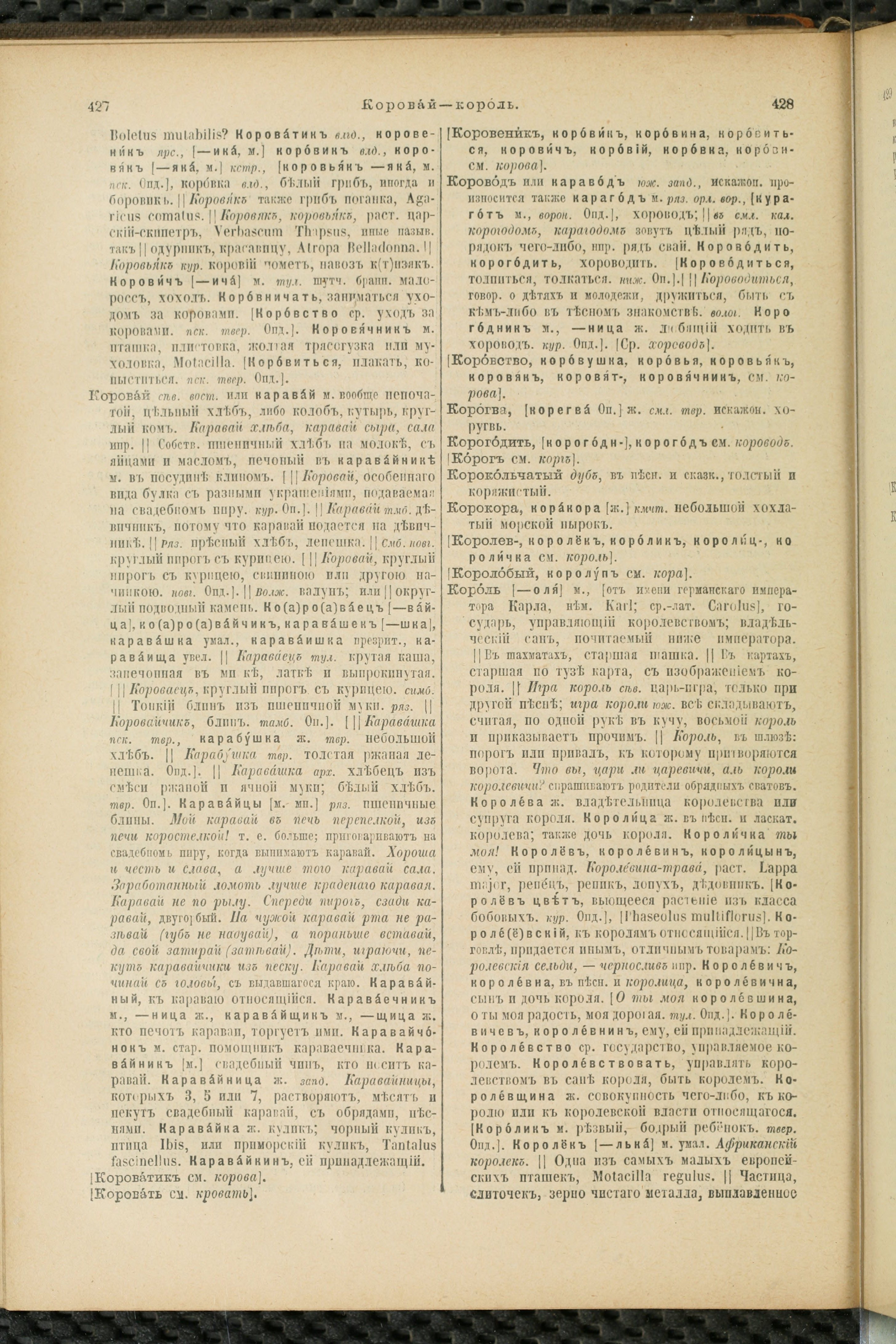 Словарь Даля под редакцией Бодуэна-де-Куртенэ, том 2 pdf скан страницы 218