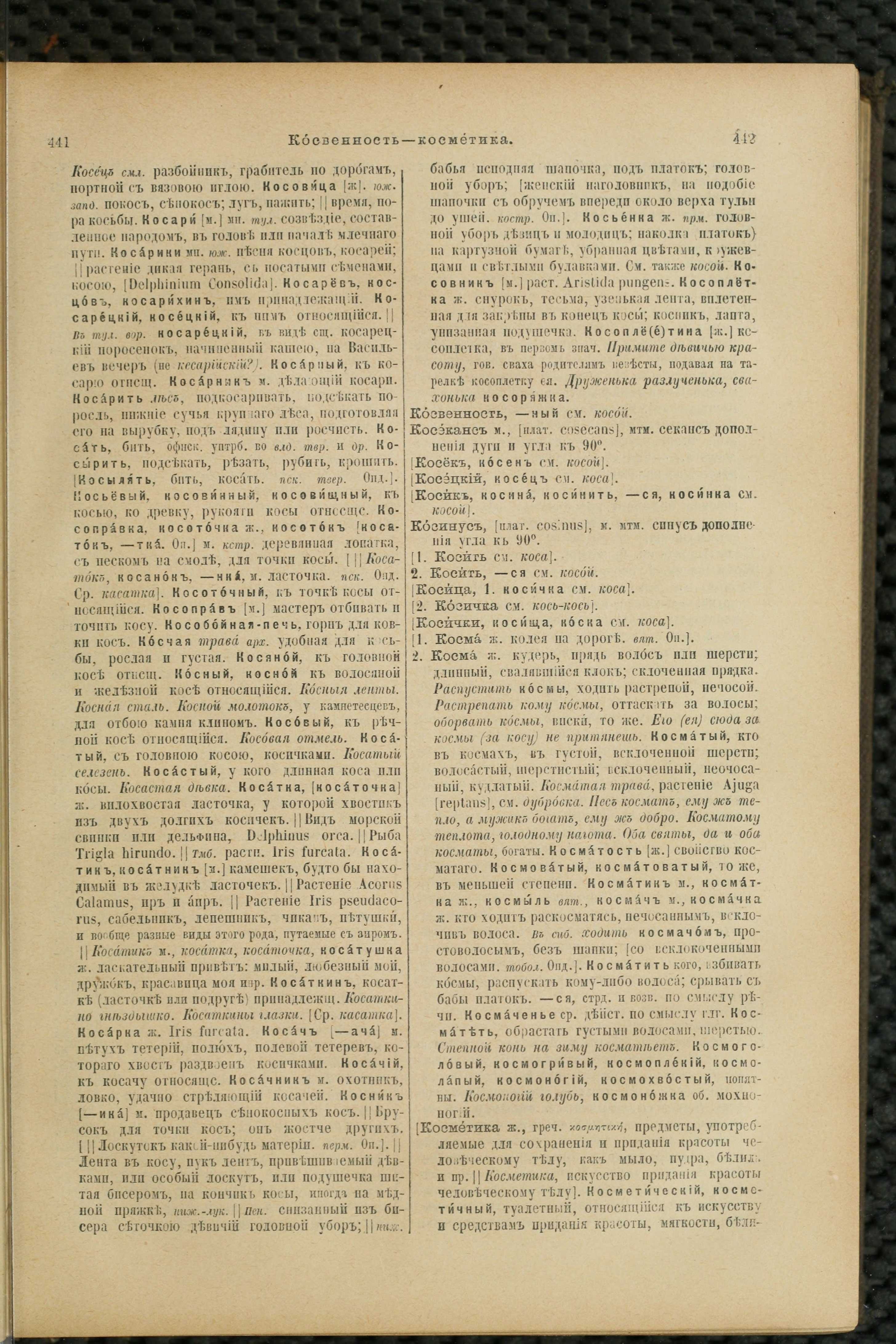 Словарь Даля под редакцией Бодуэна-де-Куртенэ, том 2 pdf скан страницы 225