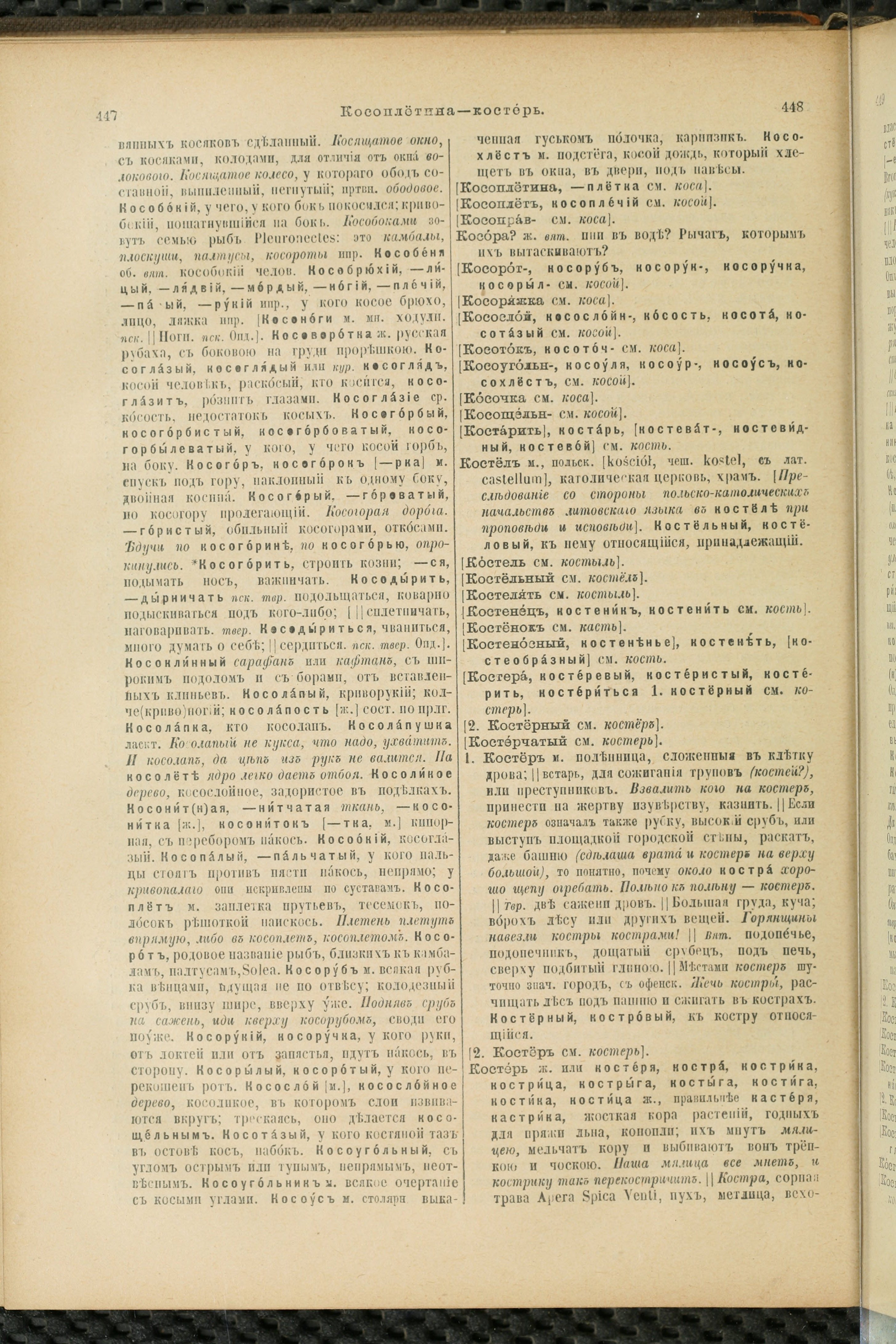 Словарь Даля под редакцией Бодуэна-де-Куртенэ, том 2 pdf скан страницы 228