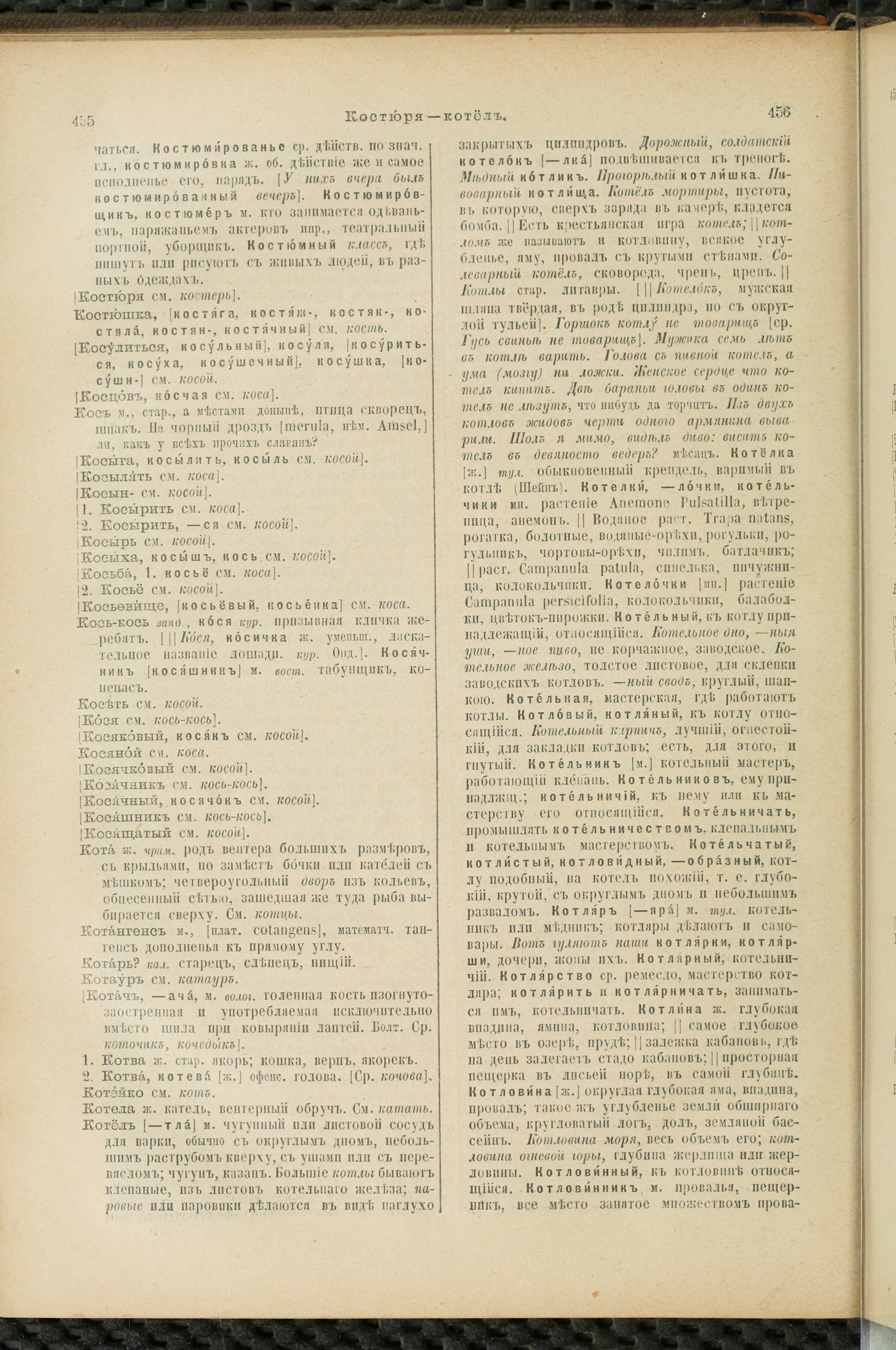 Словарь Даля под редакцией Бодуэна-де-Куртенэ, том 2 pdf скан страницы 232