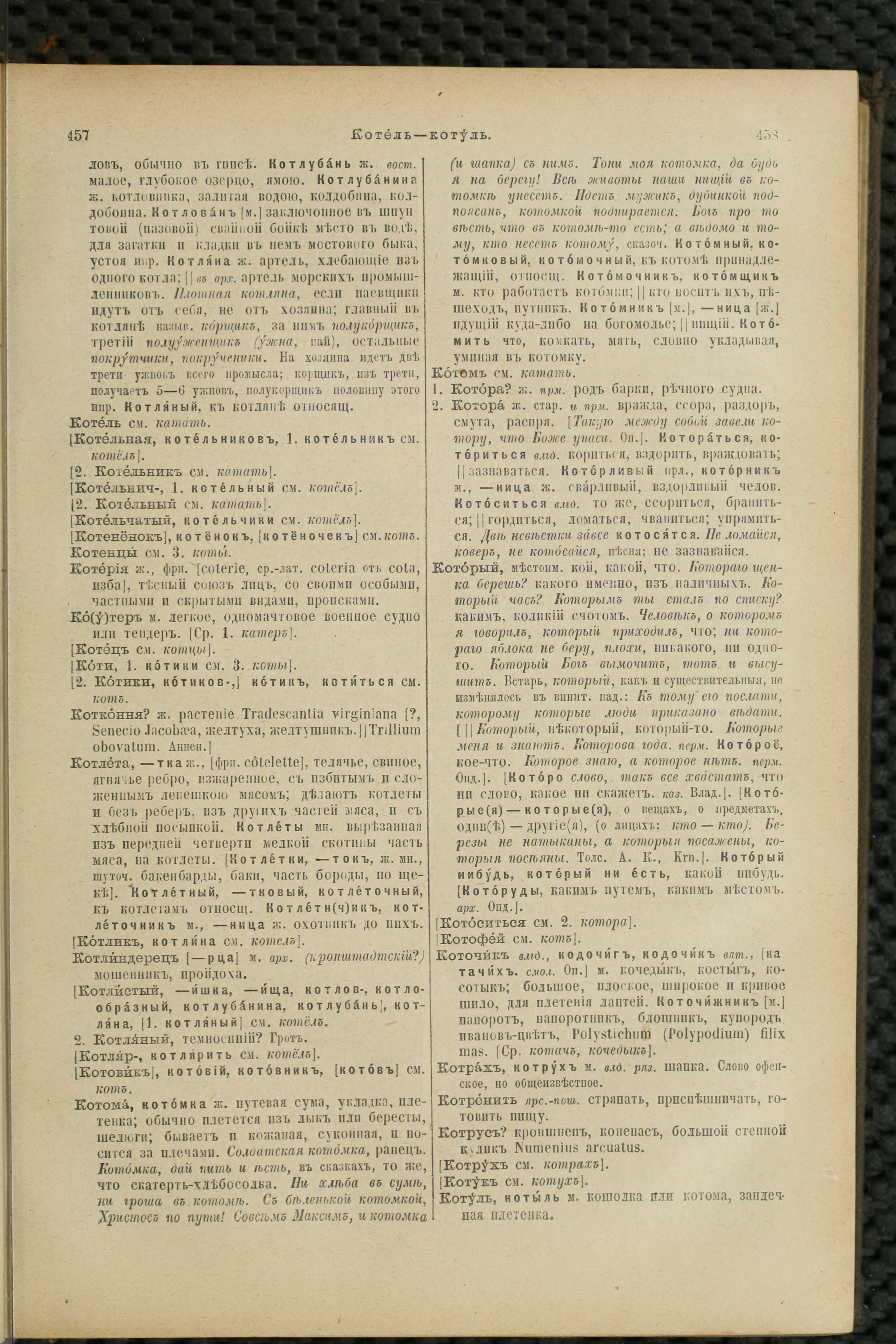 Словарь Даля под редакцией Бодуэна-де-Куртенэ, том 2 pdf скан страницы 233