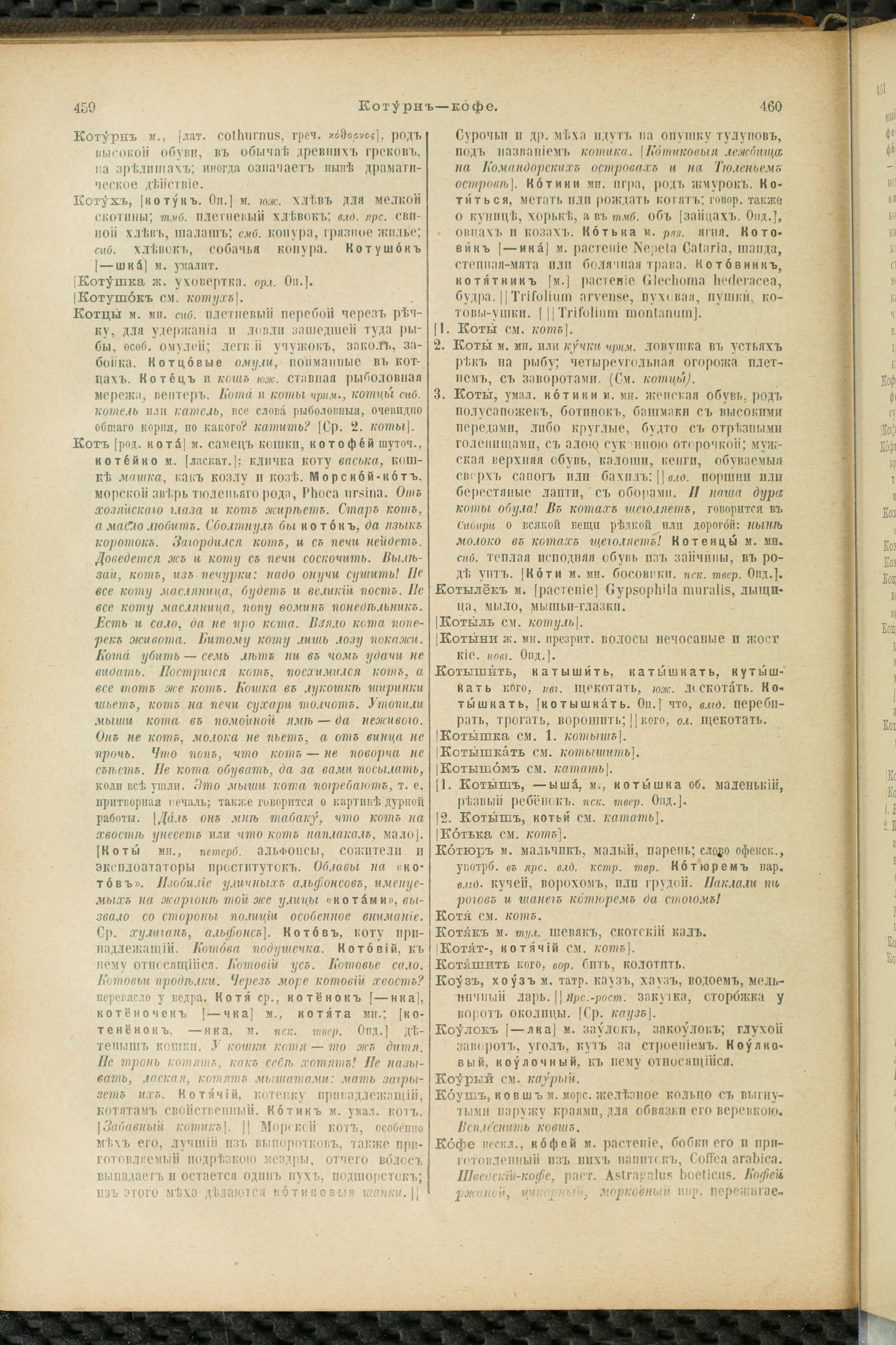 Словарь Даля под редакцией Бодуэна-де-Куртенэ, том 2 pdf скан страницы 234