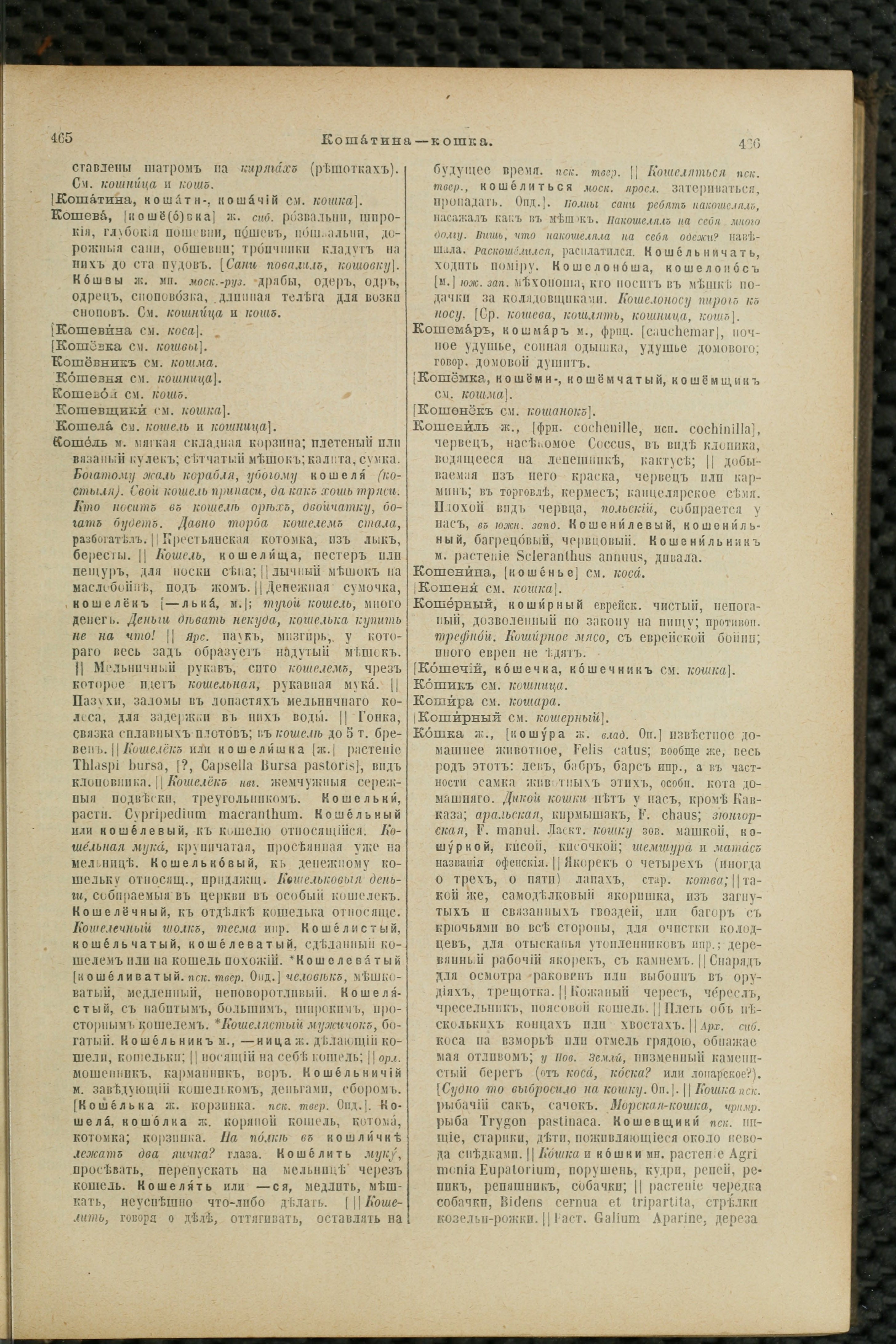 Словарь Даля под редакцией Бодуэна-де-Куртенэ, том 2 pdf скан страницы 237