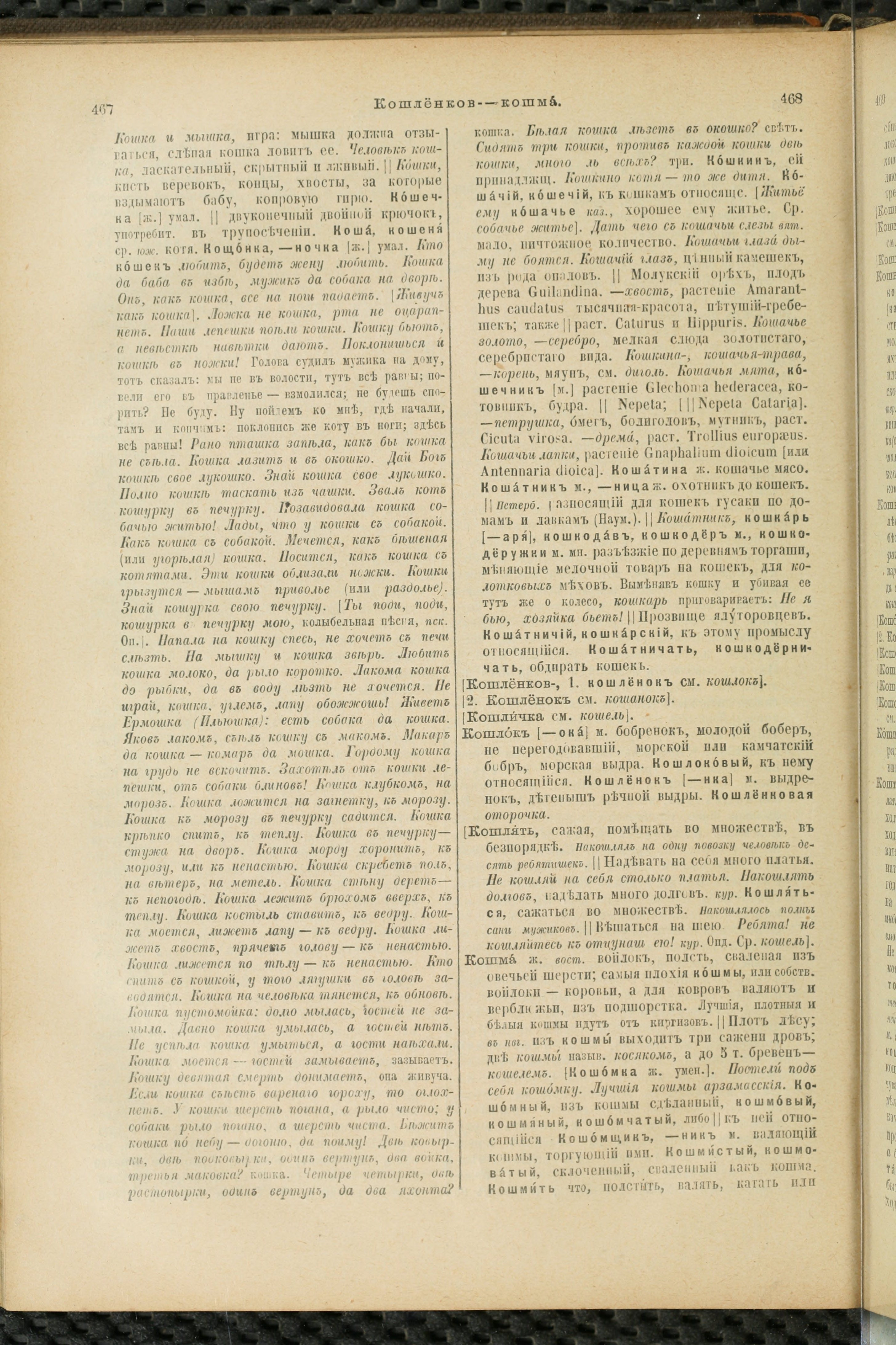 Словарь Даля под редакцией Бодуэна-де-Куртенэ, том 2 pdf скан страницы 238