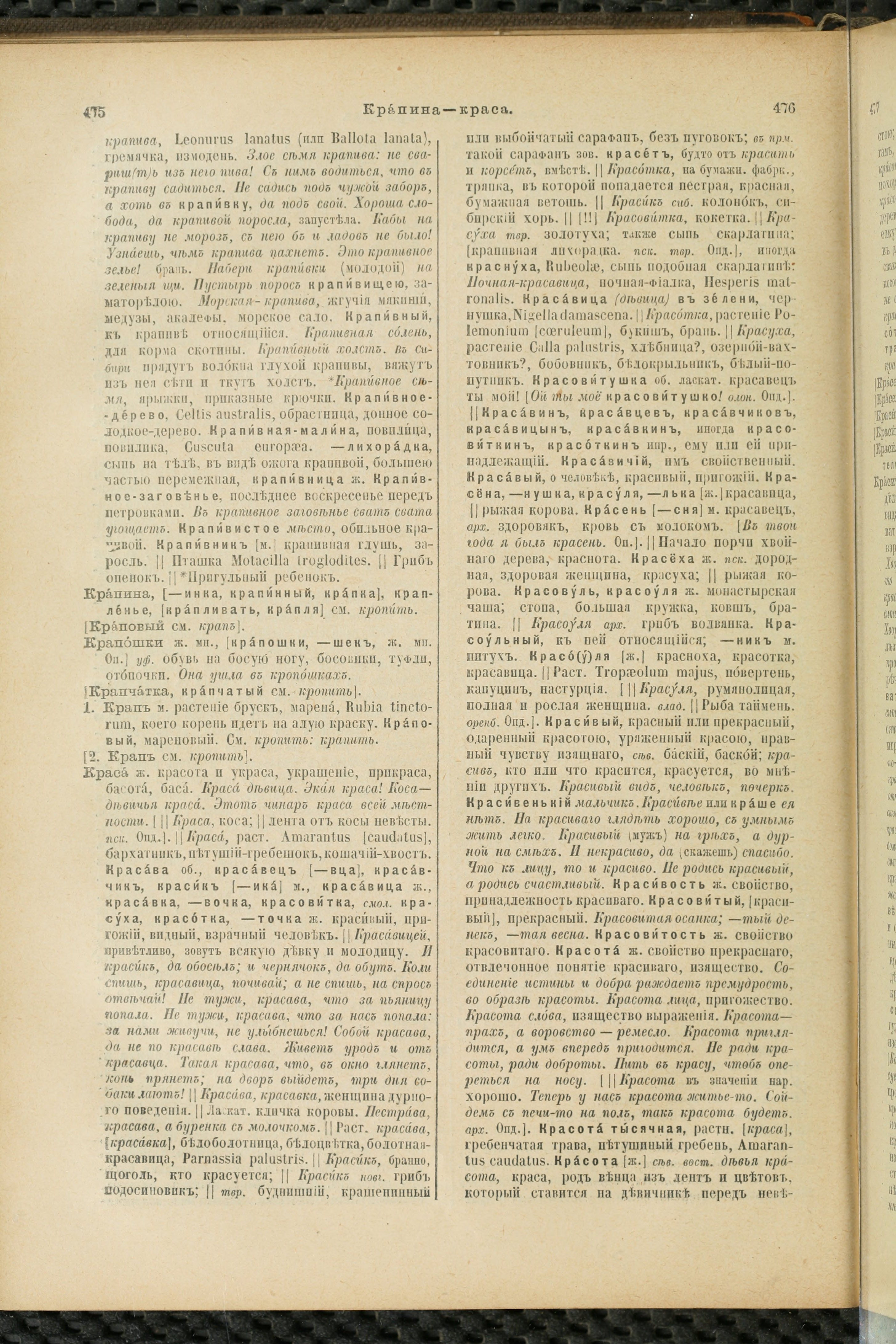 Словарь Даля под редакцией Бодуэна-де-Куртенэ, том 2 pdf скан страницы 242