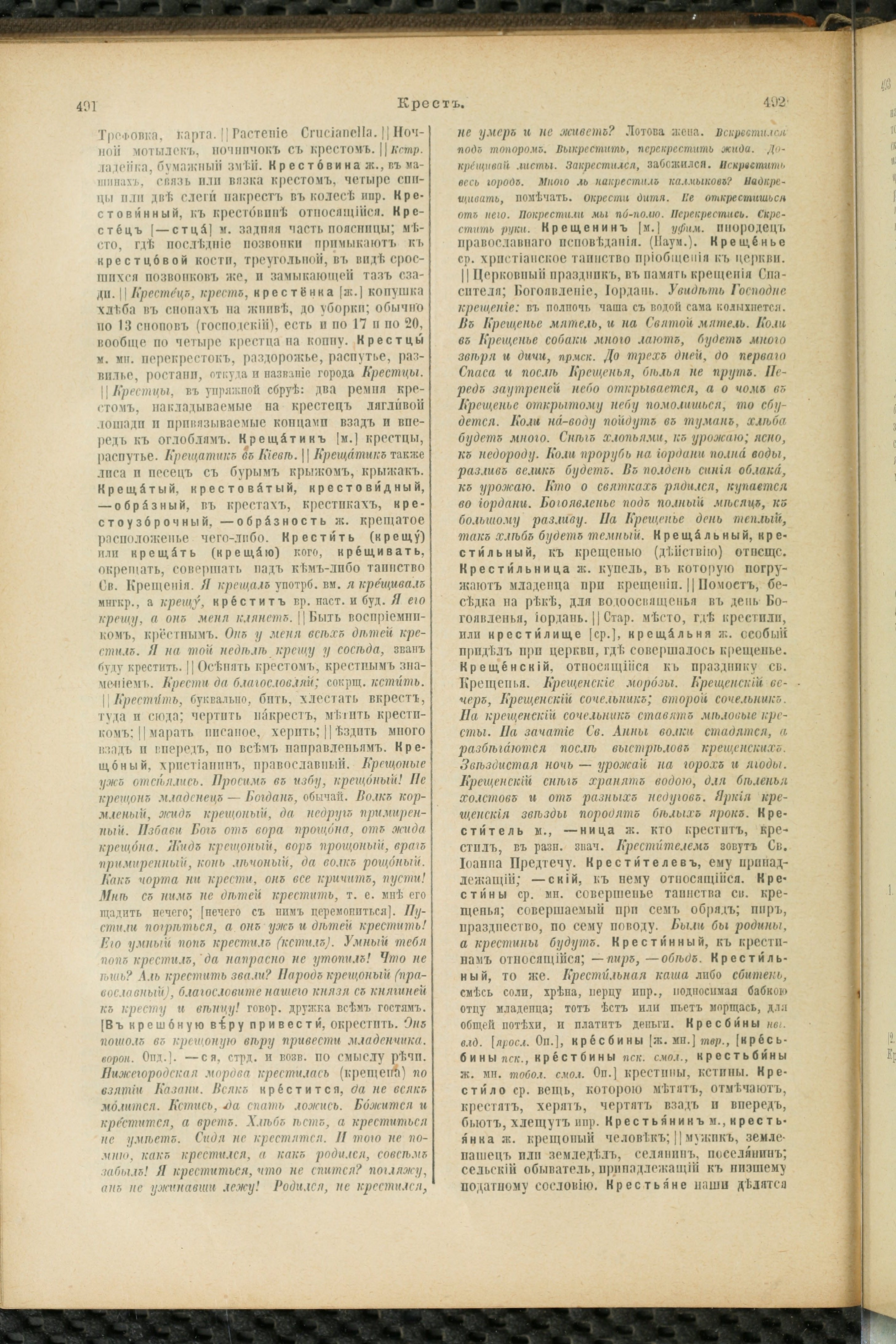 Словарь Даля под редакцией Бодуэна-де-Куртенэ, том 2 pdf скан страницы 250