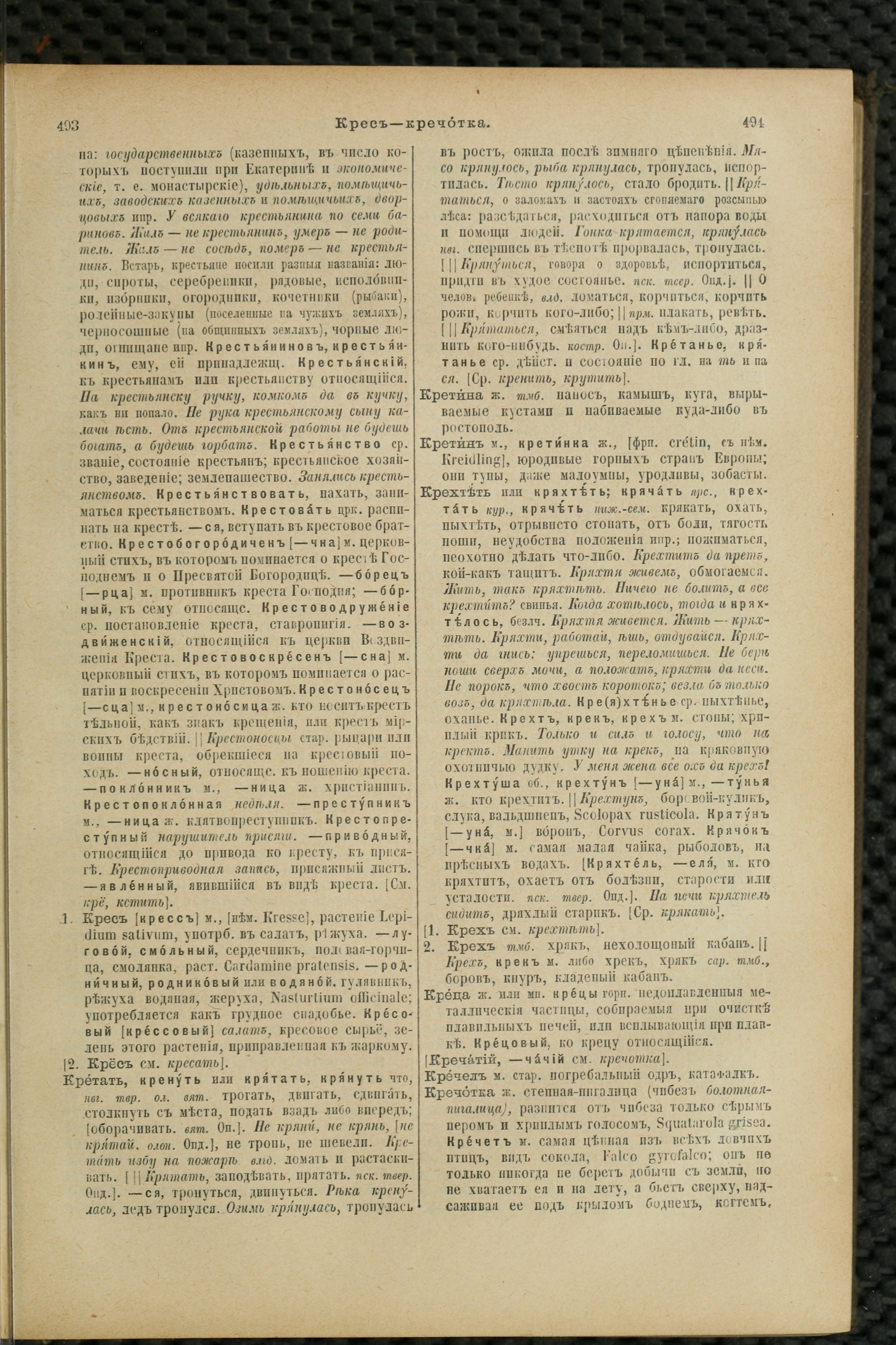 Словарь Даля под редакцией Бодуэна-де-Куртенэ, том 2 pdf скан страницы 251