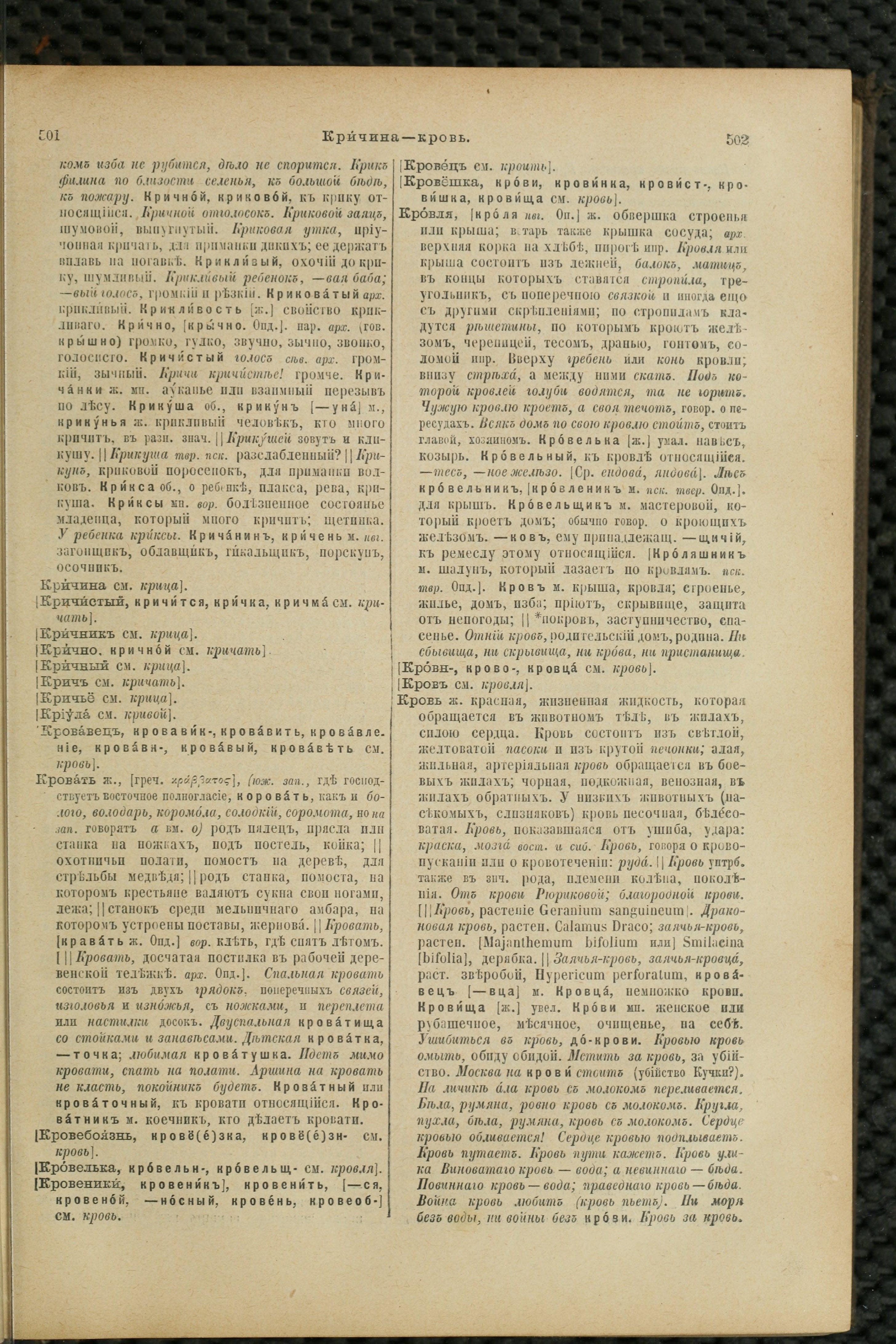 Словарь Даля под редакцией Бодуэна-де-Куртенэ, том 2 pdf скан страницы 255
