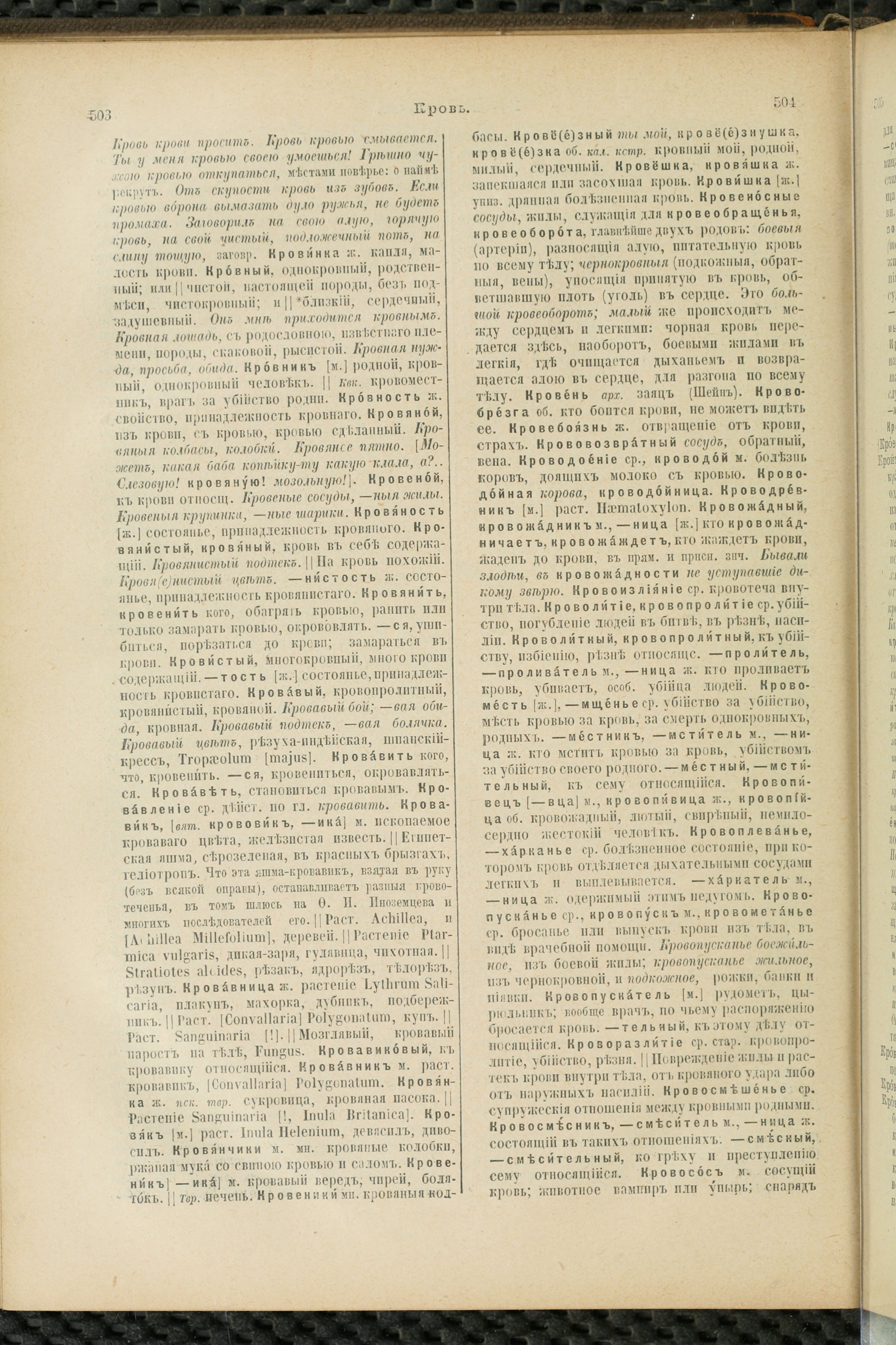 Словарь Даля под редакцией Бодуэна-де-Куртенэ, том 2 pdf скан страницы 256