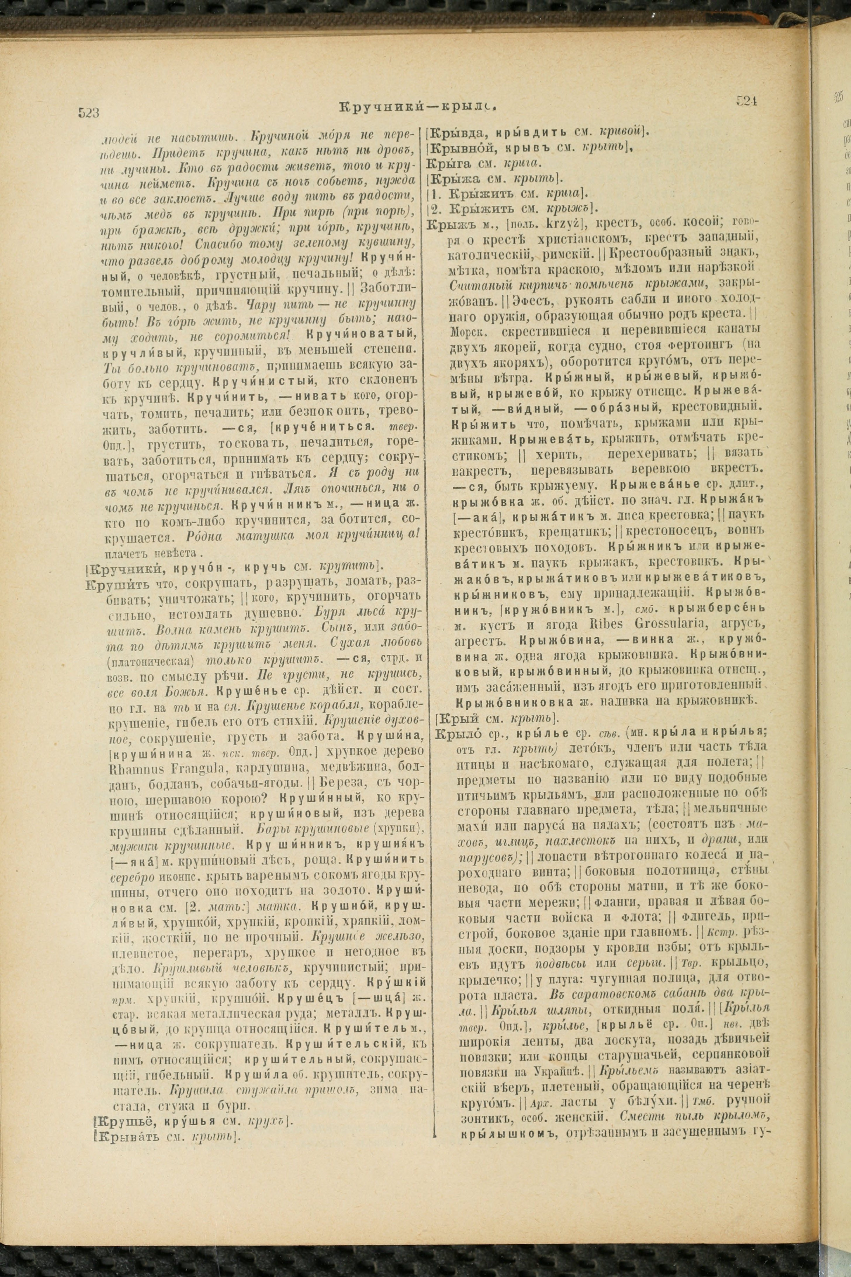 Словарь Даля под редакцией Бодуэна-де-Куртенэ, том 2 pdf скан страницы 266