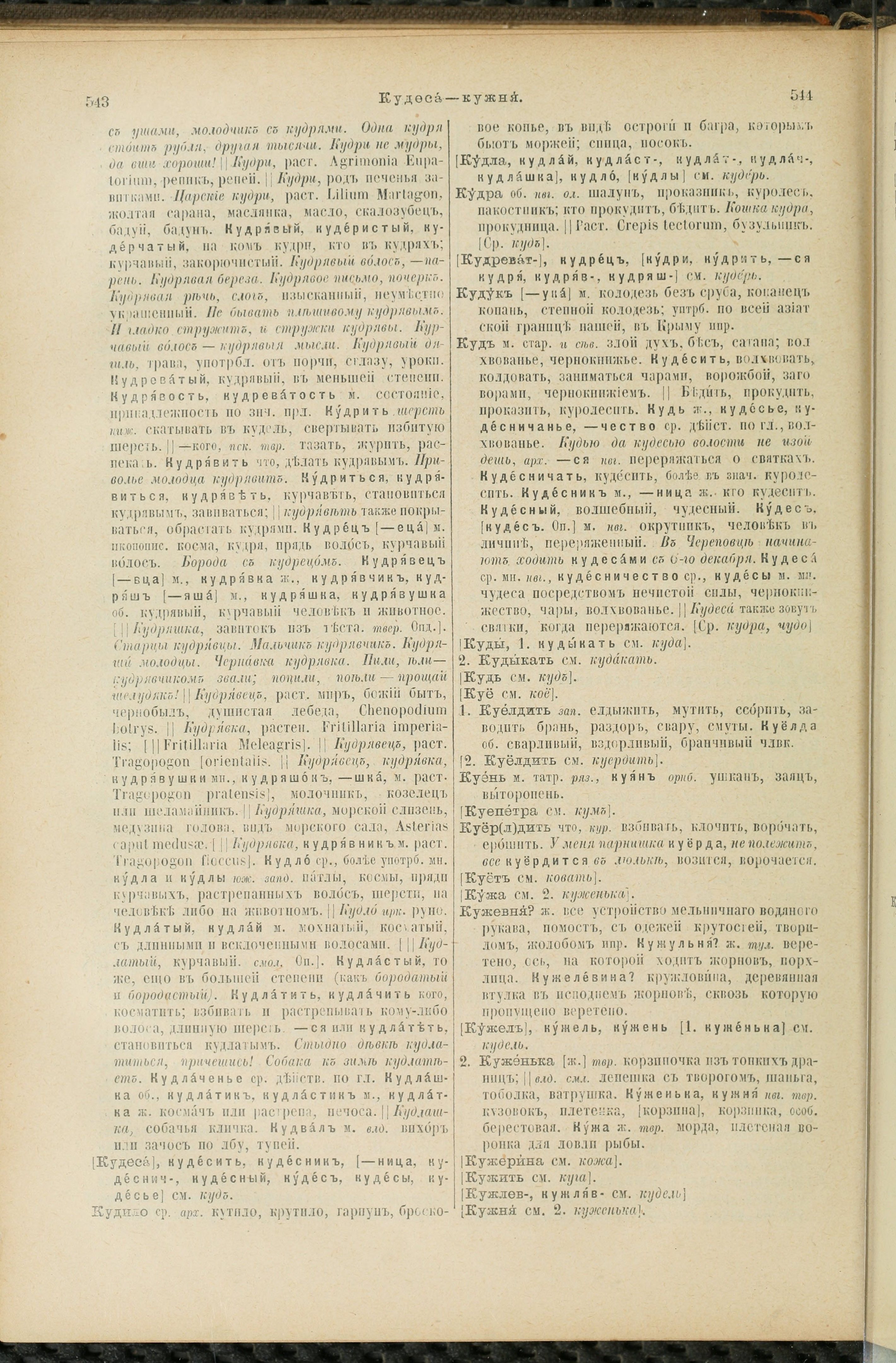 Словарь Даля под редакцией Бодуэна-де-Куртенэ, том 2 pdf скан страницы 276
