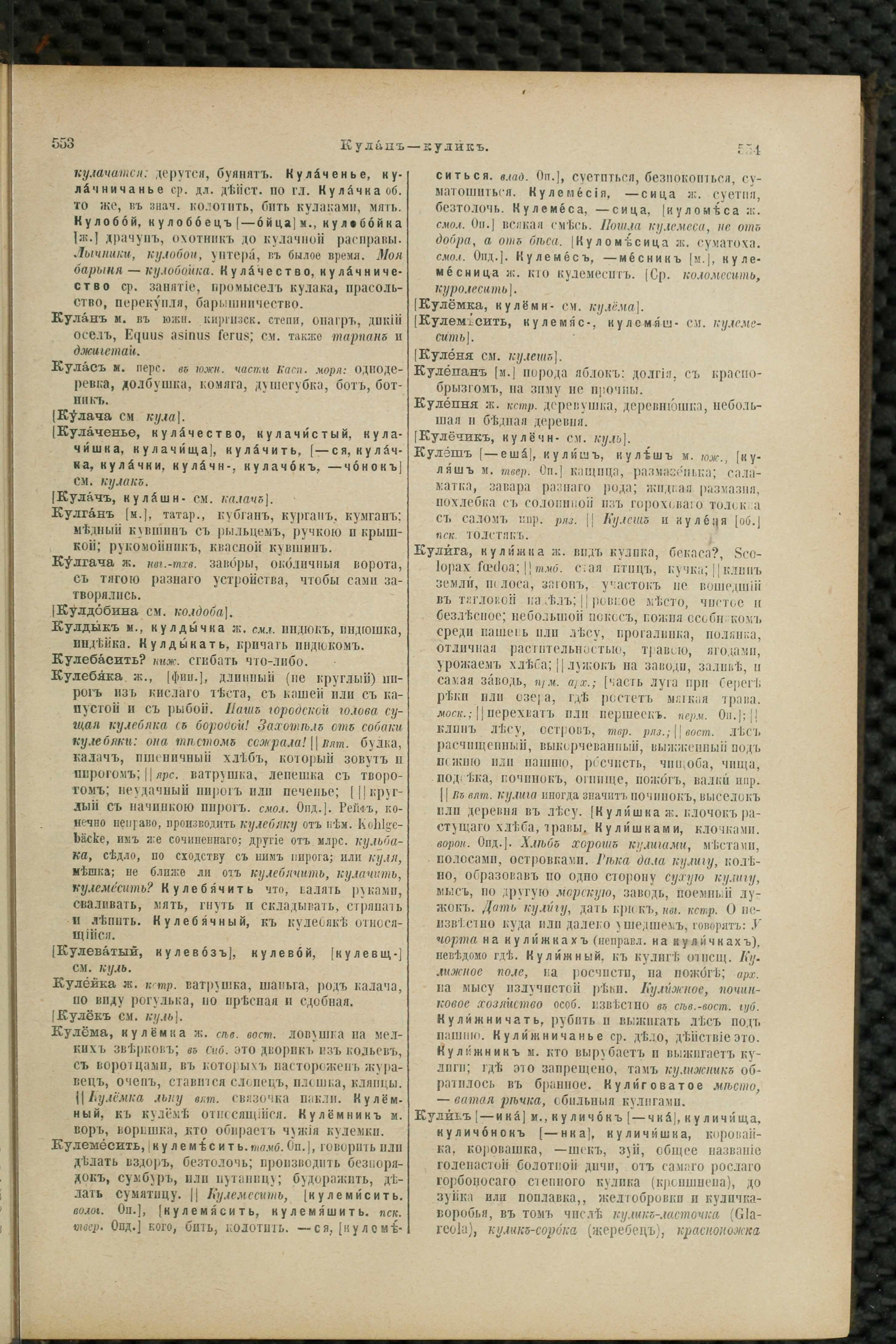 Словарь Даля под редакцией Бодуэна-де-Куртенэ, том 2 pdf скан страницы 281
