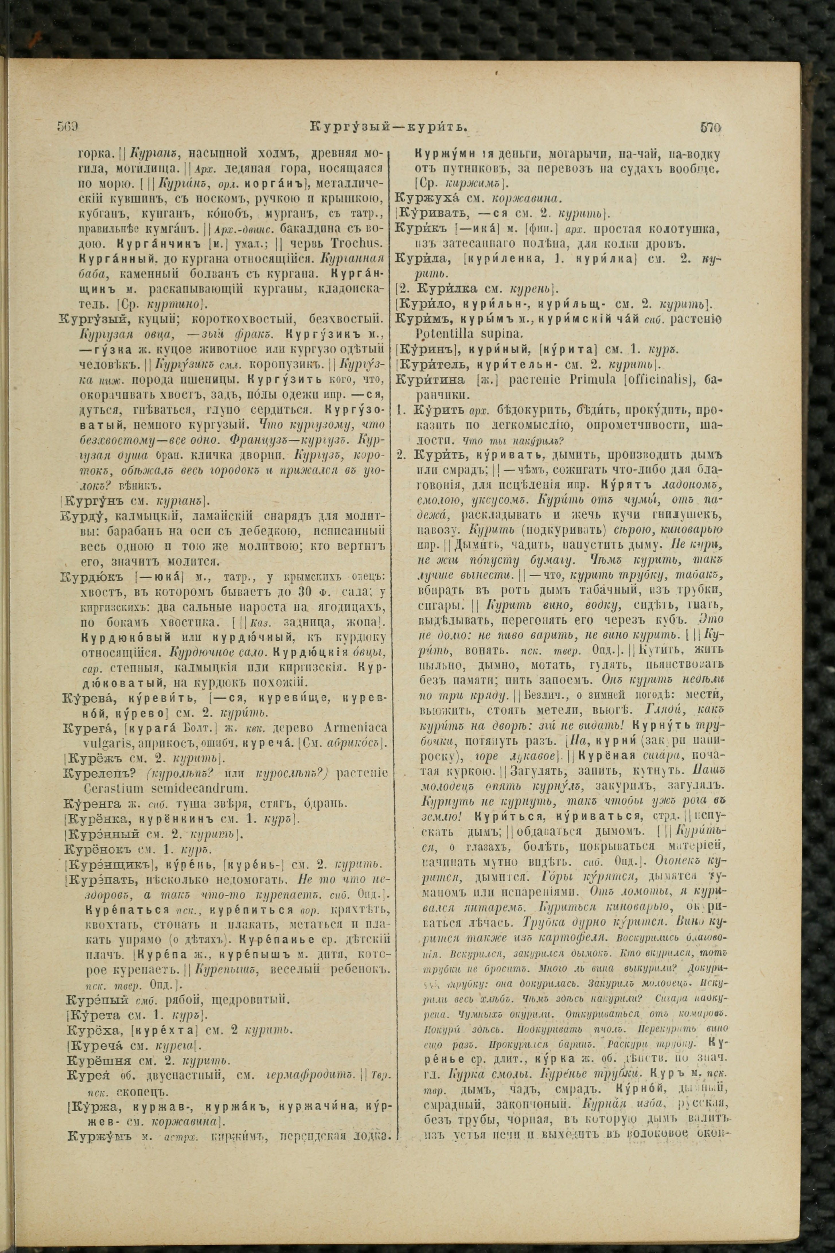 Словарь Даля под редакцией Бодуэна-де-Куртенэ, том 2 pdf скан страницы 289