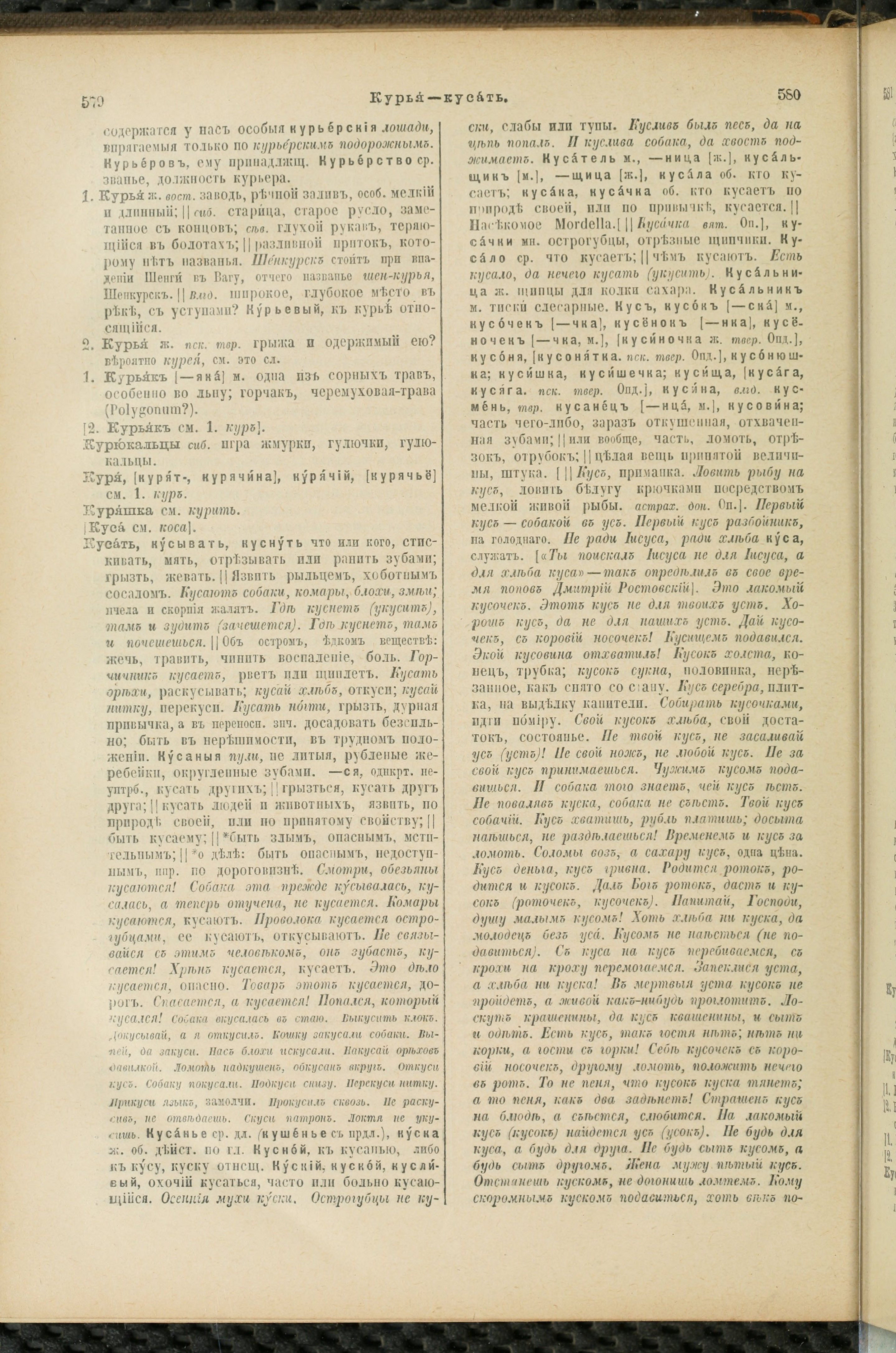 Словарь Даля под редакцией Бодуэна-де-Куртенэ, том 2 pdf скан страницы 294