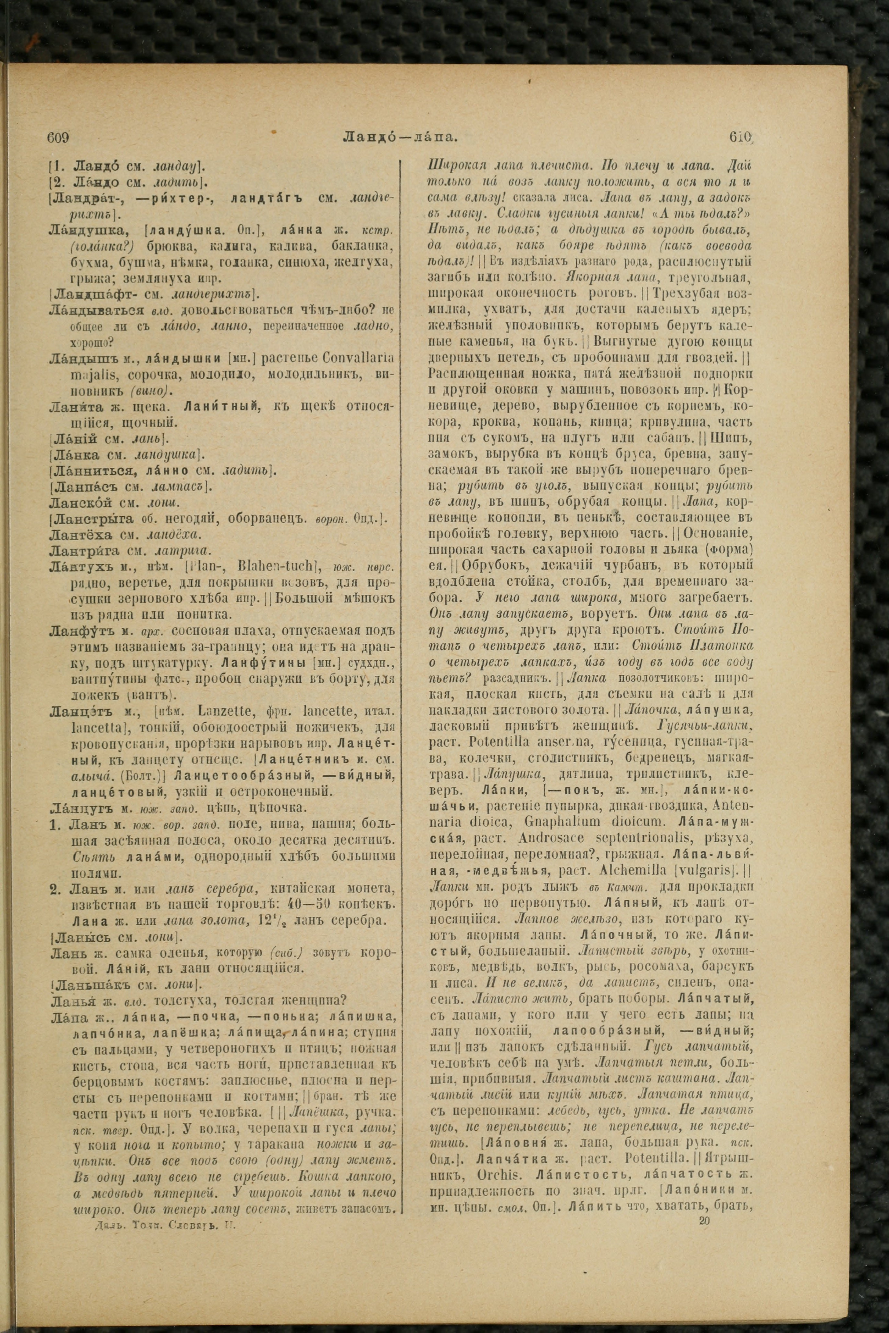 Словарь Даля под редакцией Бодуэна-де-Куртенэ, том 2 pdf скан страницы 309