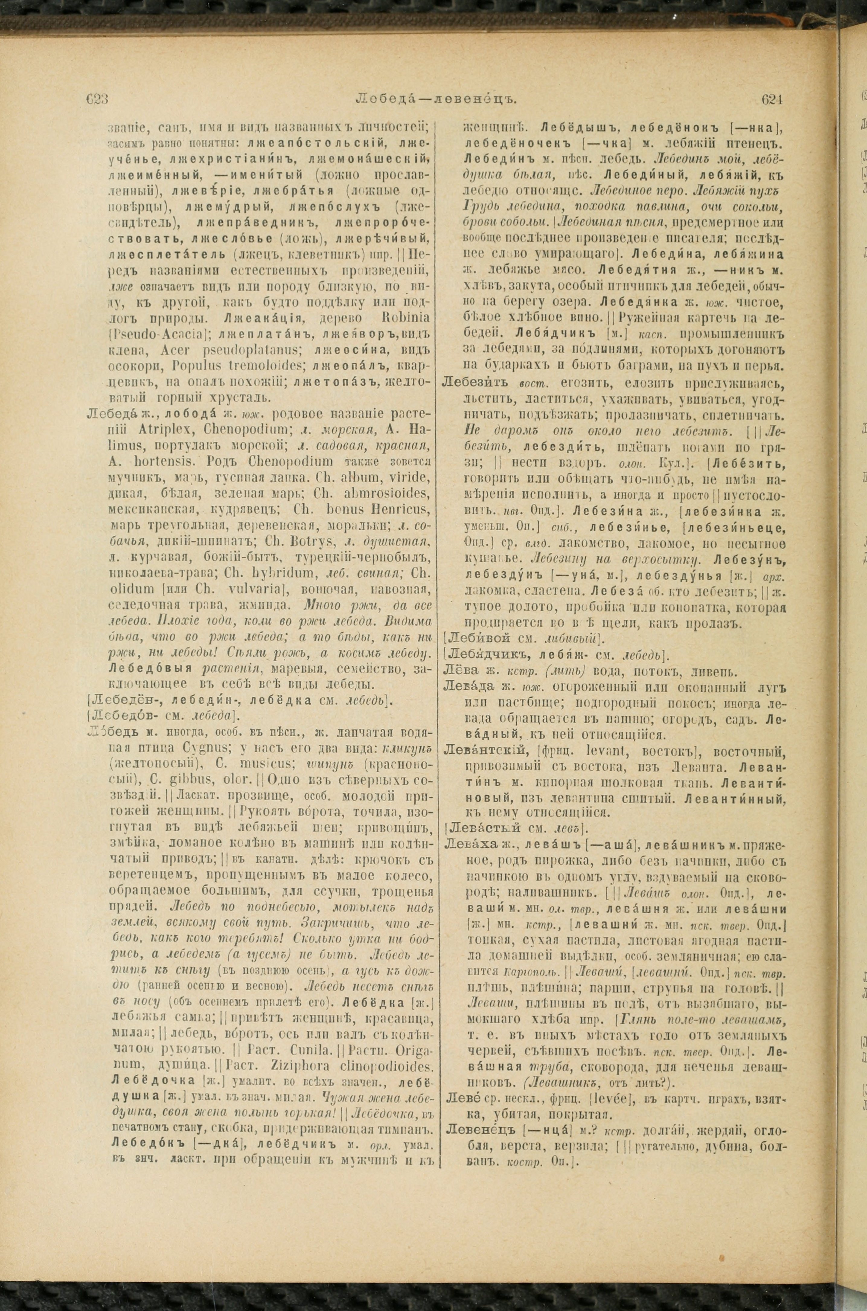 Словарь Даля под редакцией Бодуэна-де-Куртенэ, том 2 pdf скан страницы 316