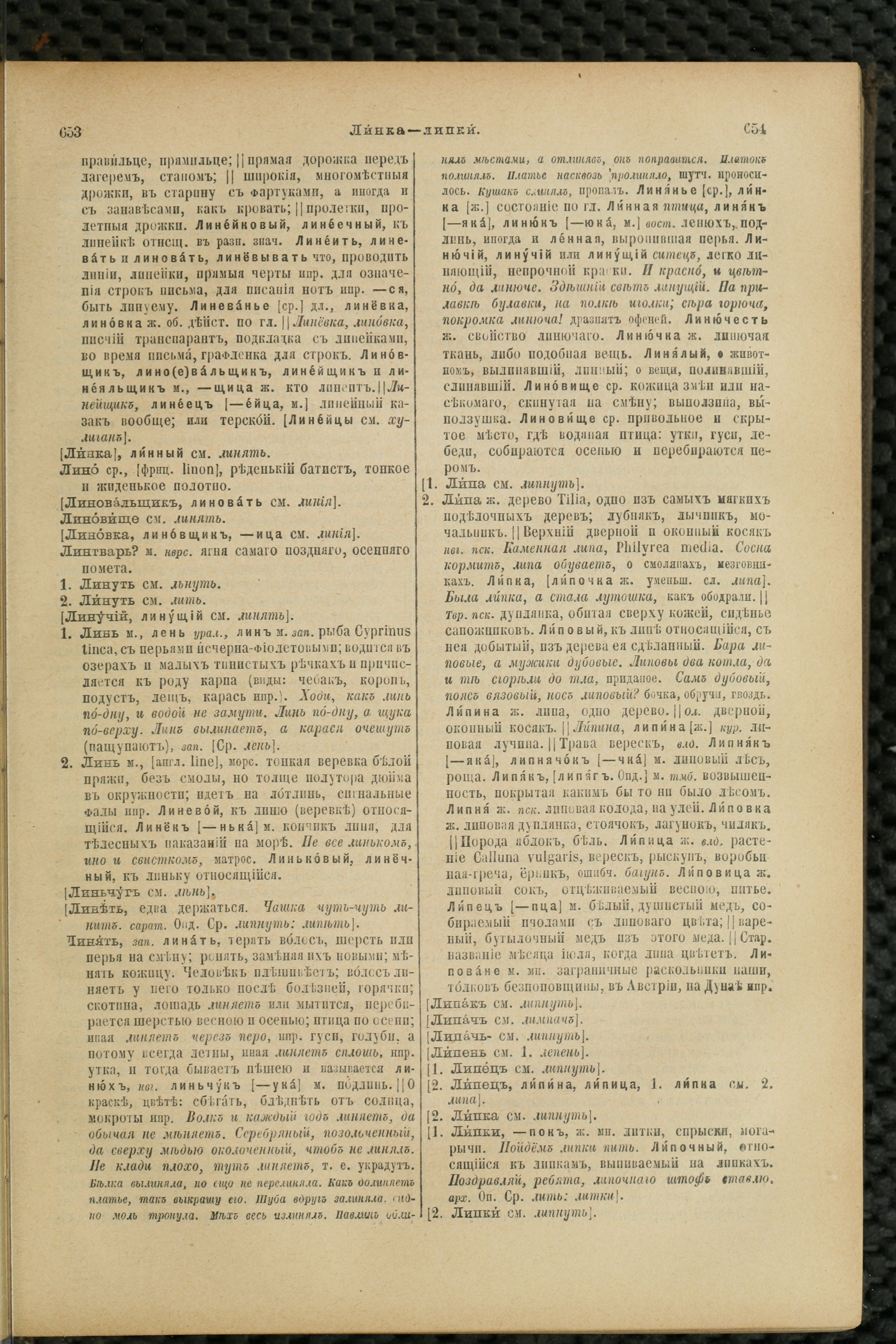 Словарь Даля под редакцией Бодуэна-де-Куртенэ, том 2 pdf скан страницы 331