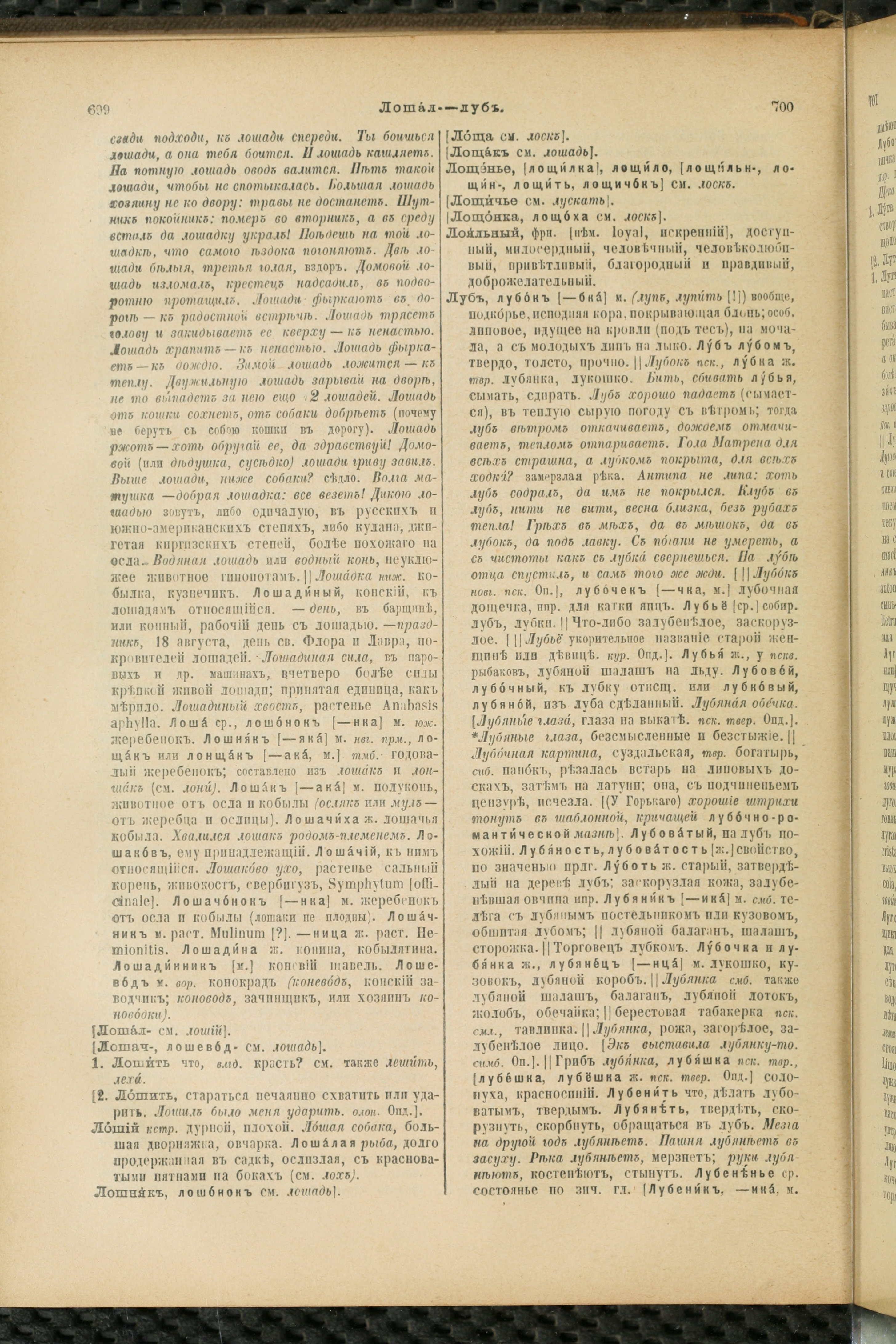 Словарь Даля под редакцией Бодуэна-де-Куртенэ, том 2 pdf скан страницы 354