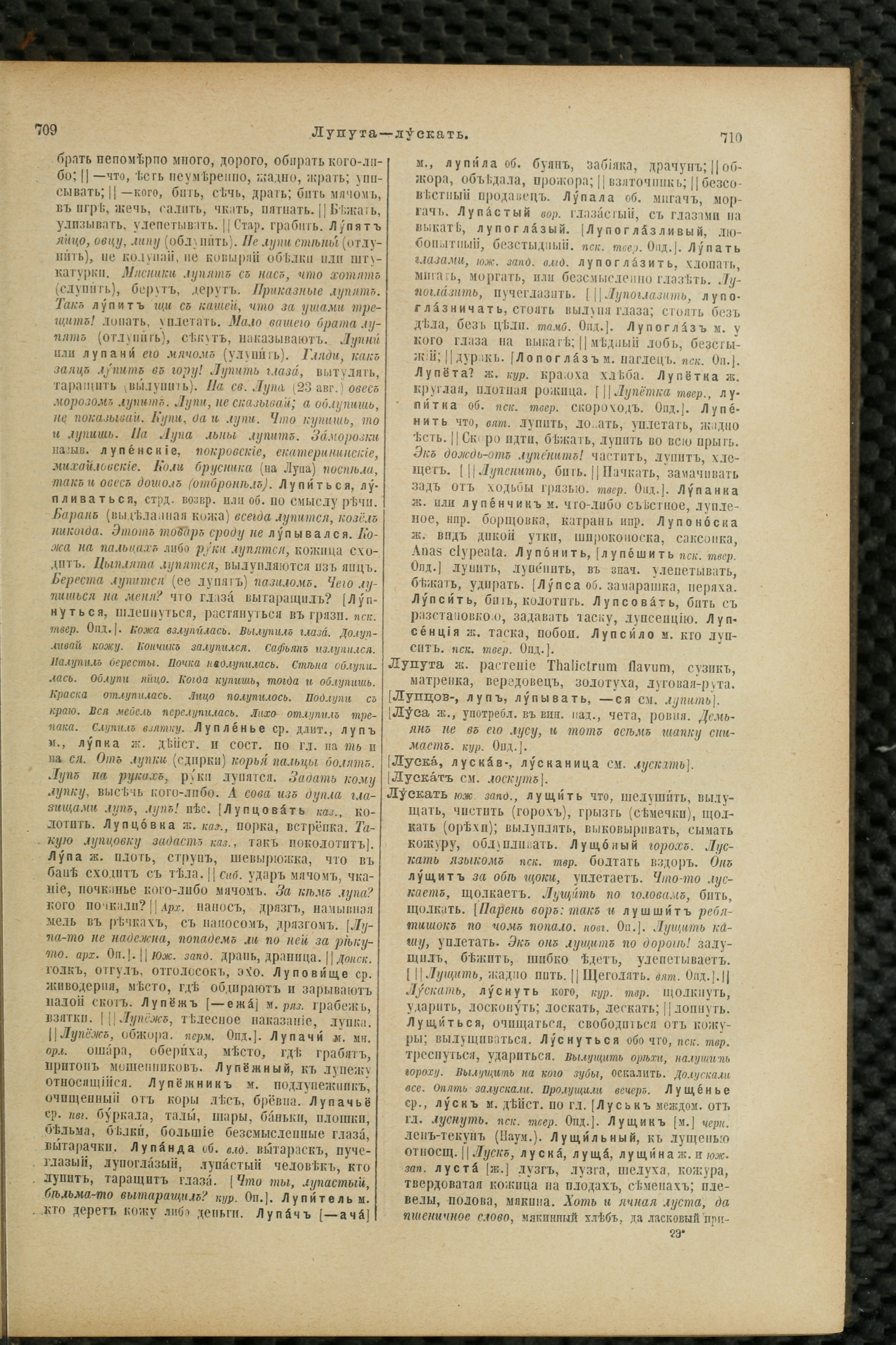 Словарь Даля под редакцией Бодуэна-де-Куртенэ, том 2 pdf скан страницы 359